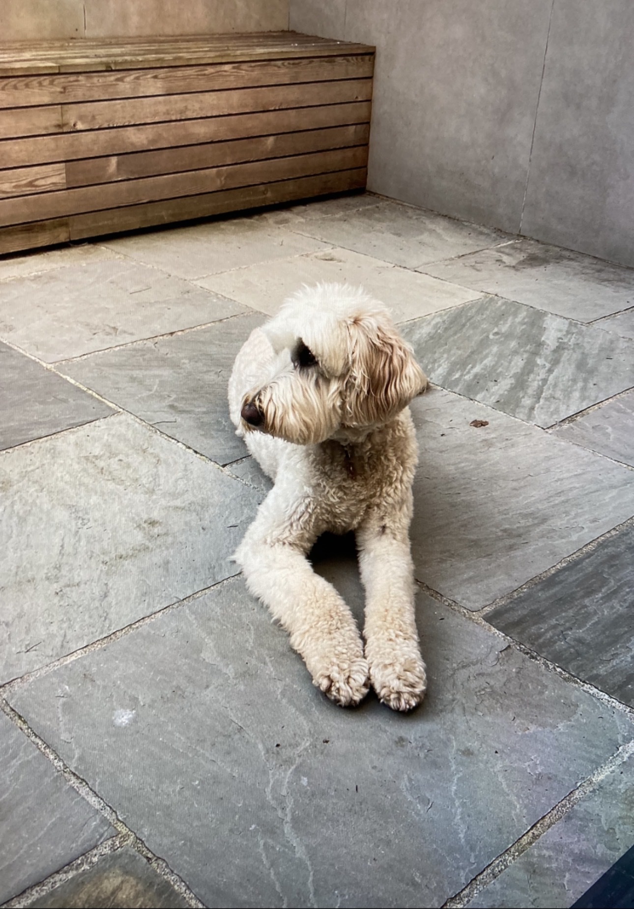 image-18