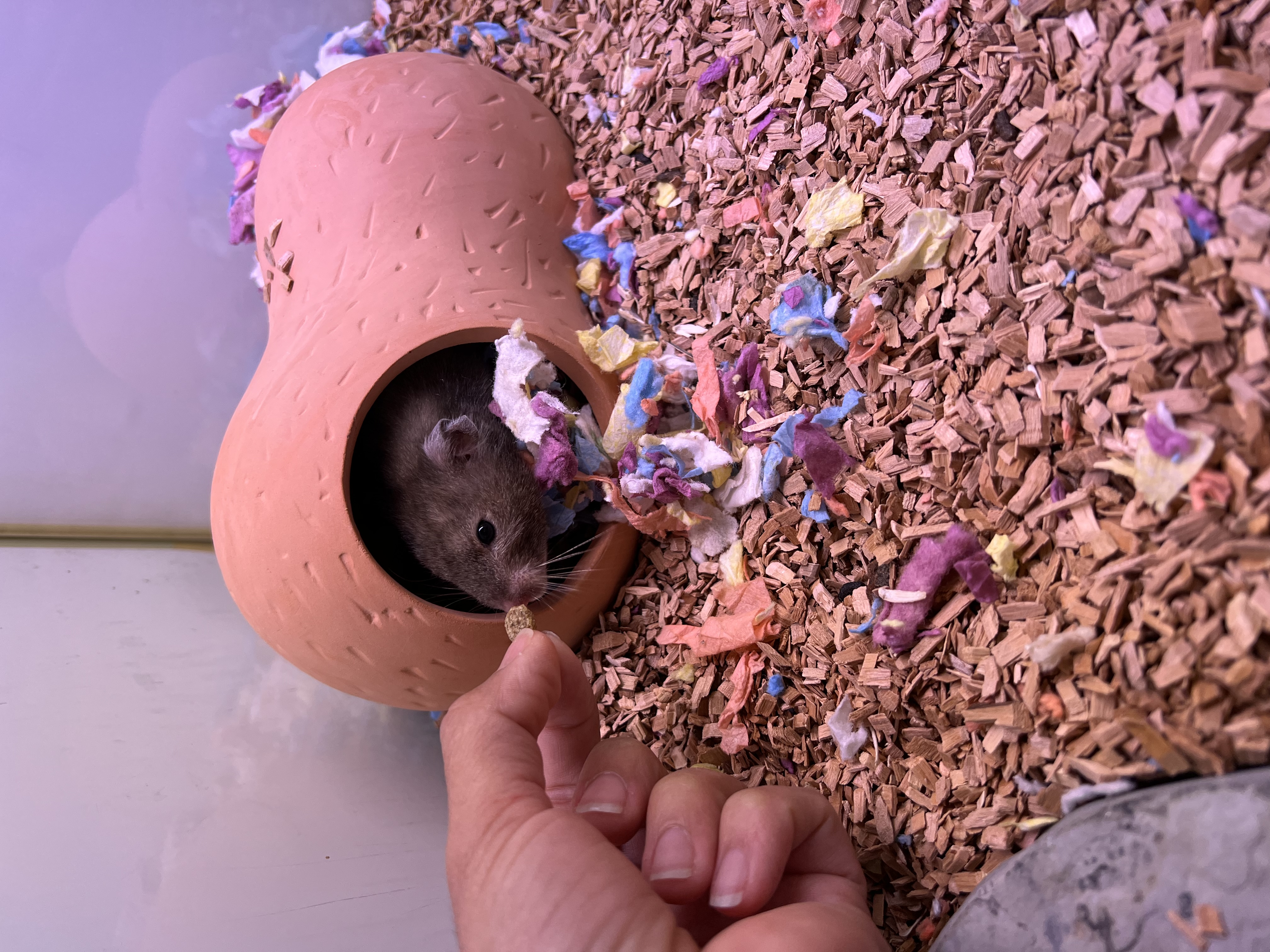 image-8