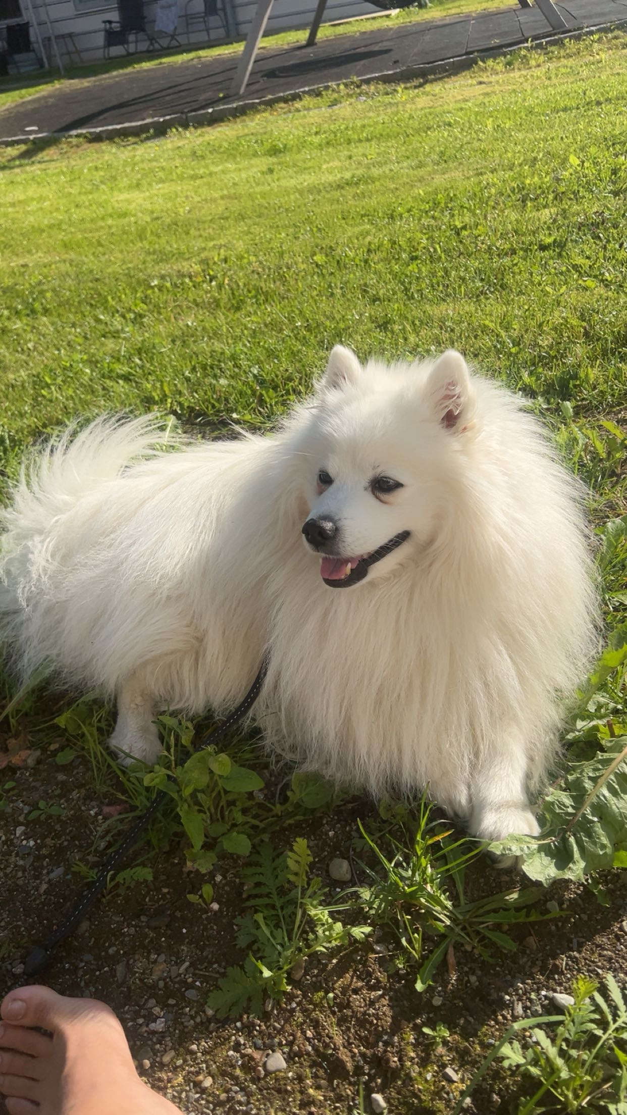 image-27