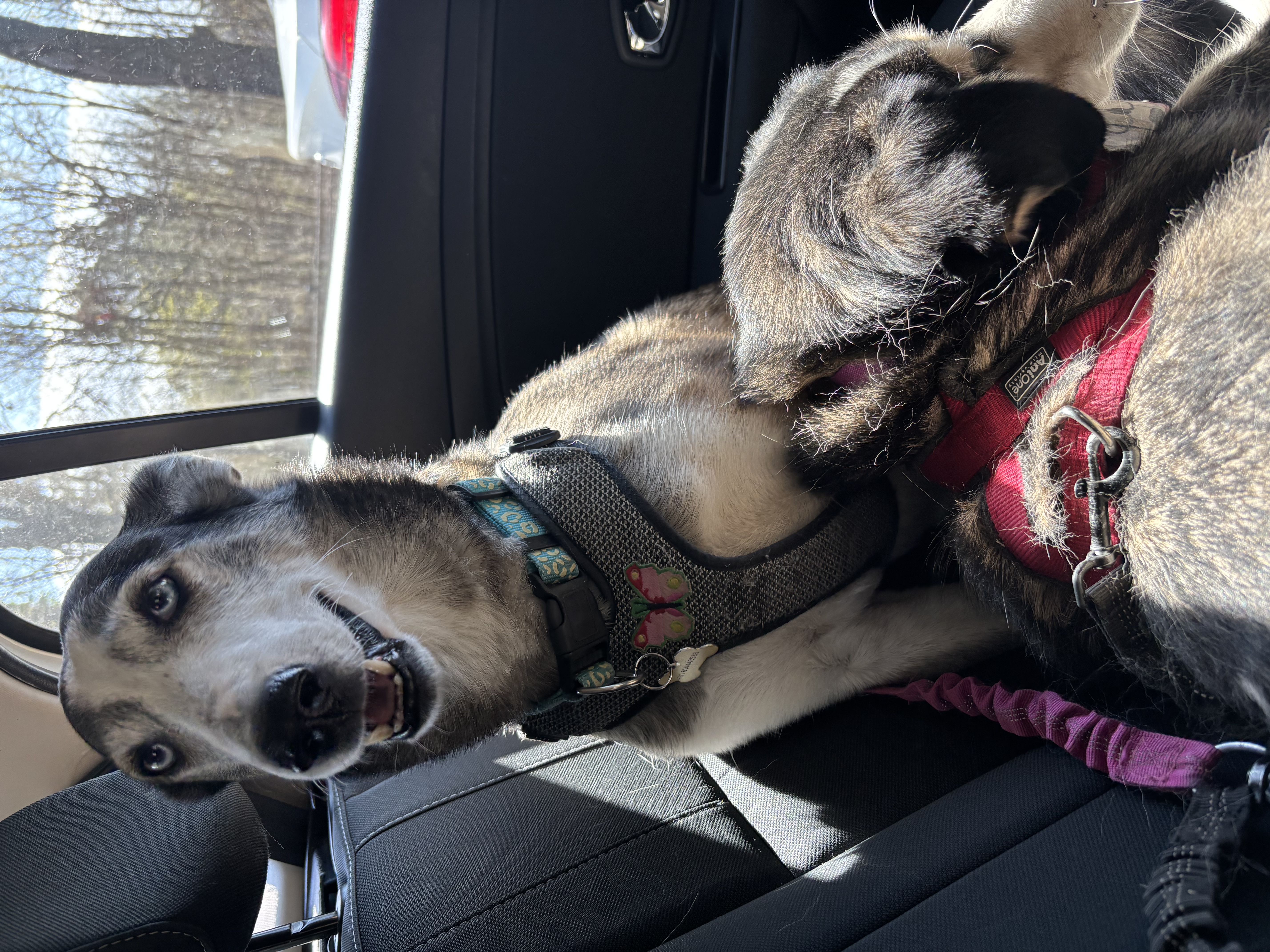 image-5