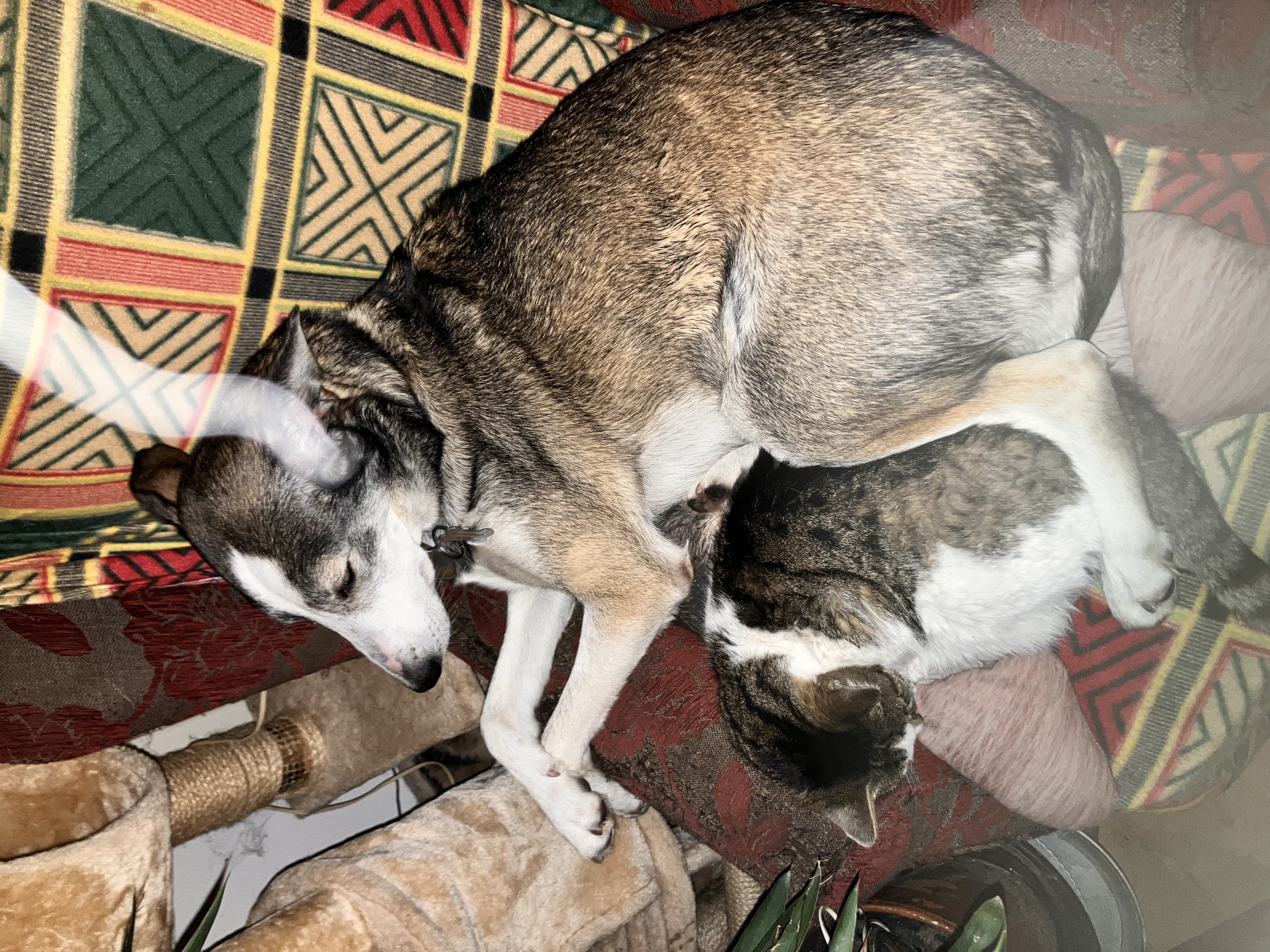 image-14