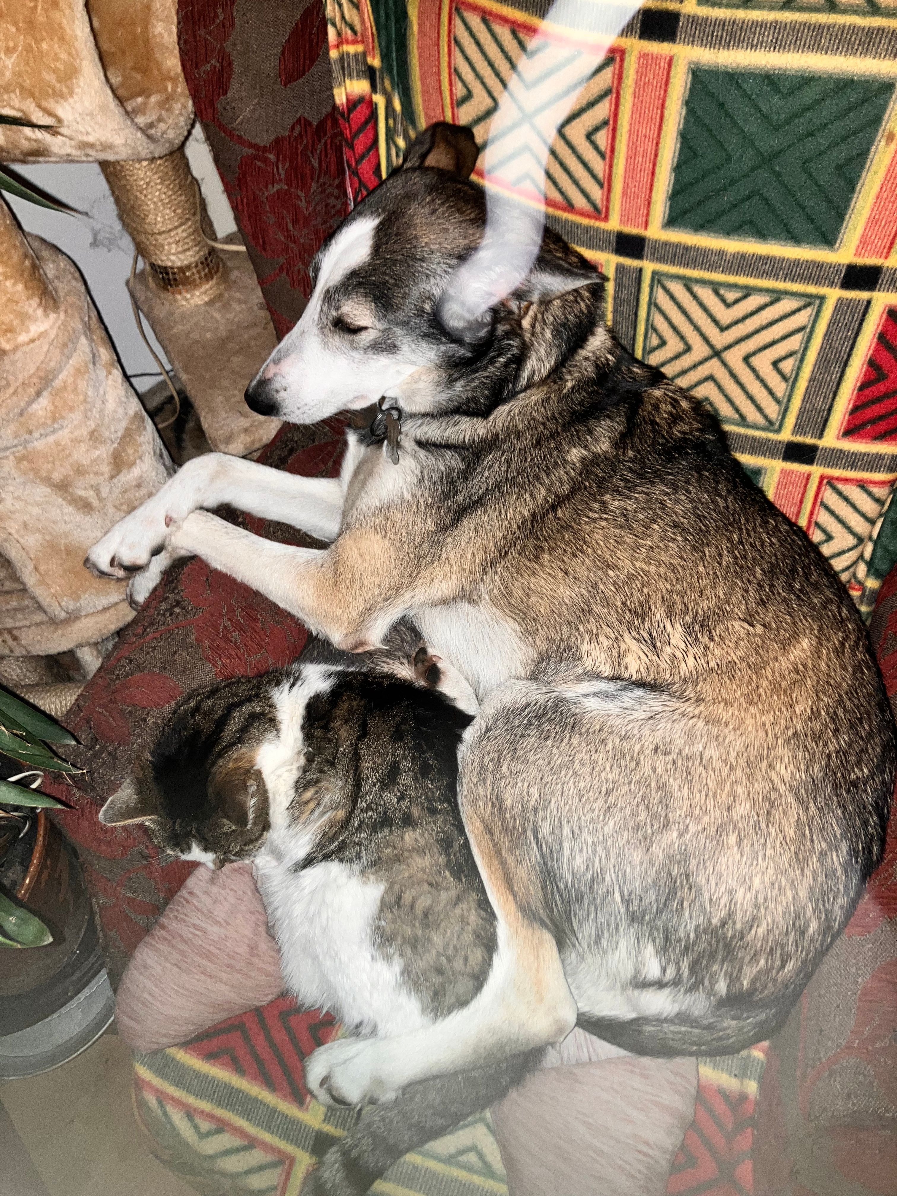 image-14