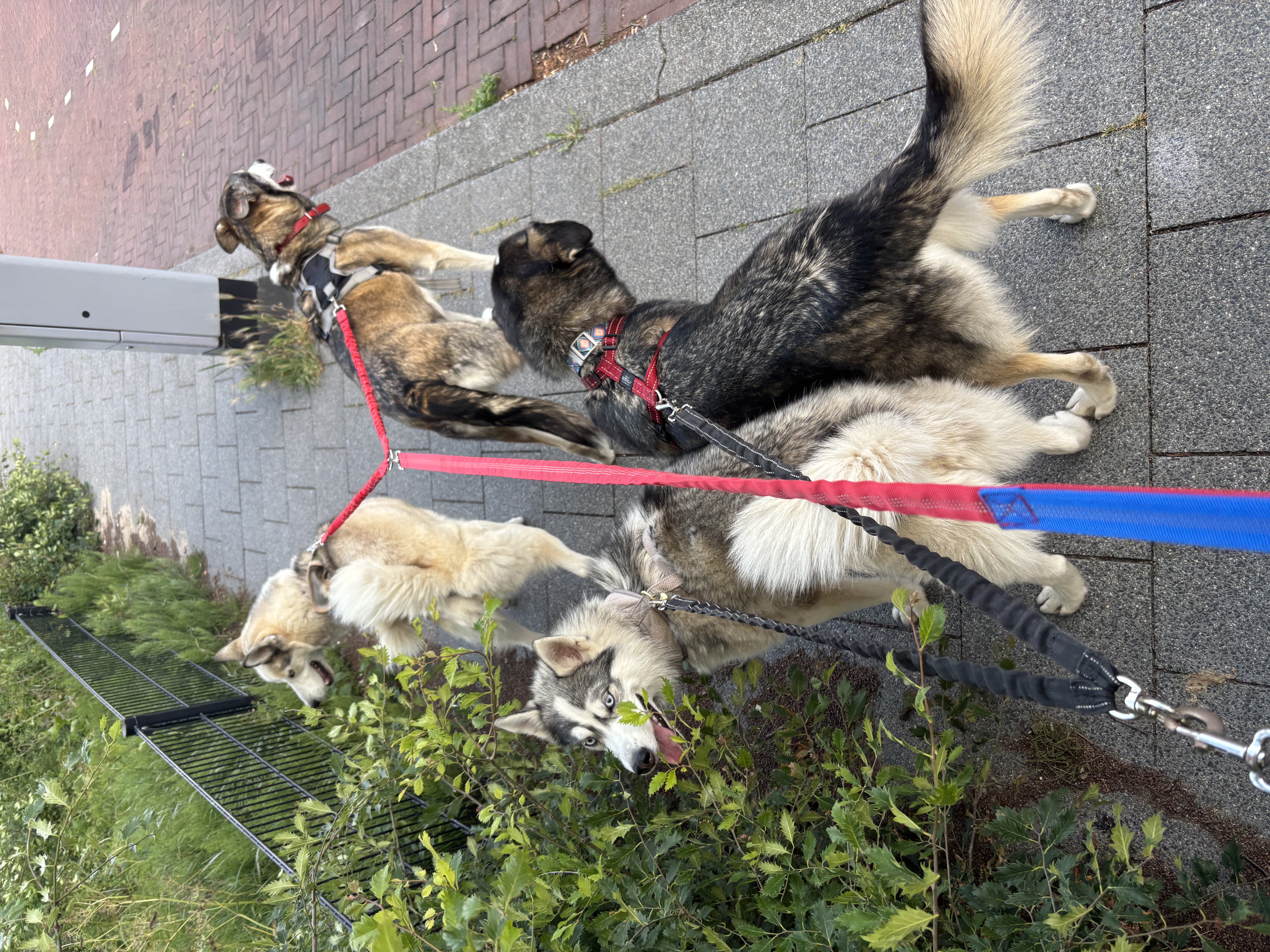 image-8