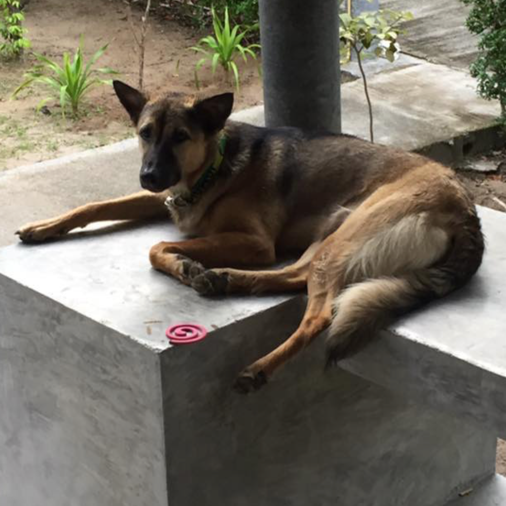 Coco