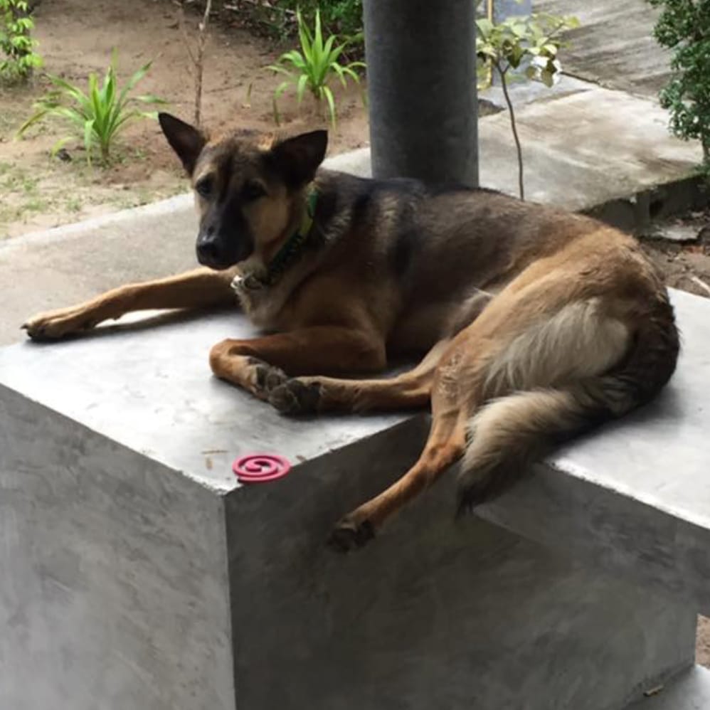 Coco