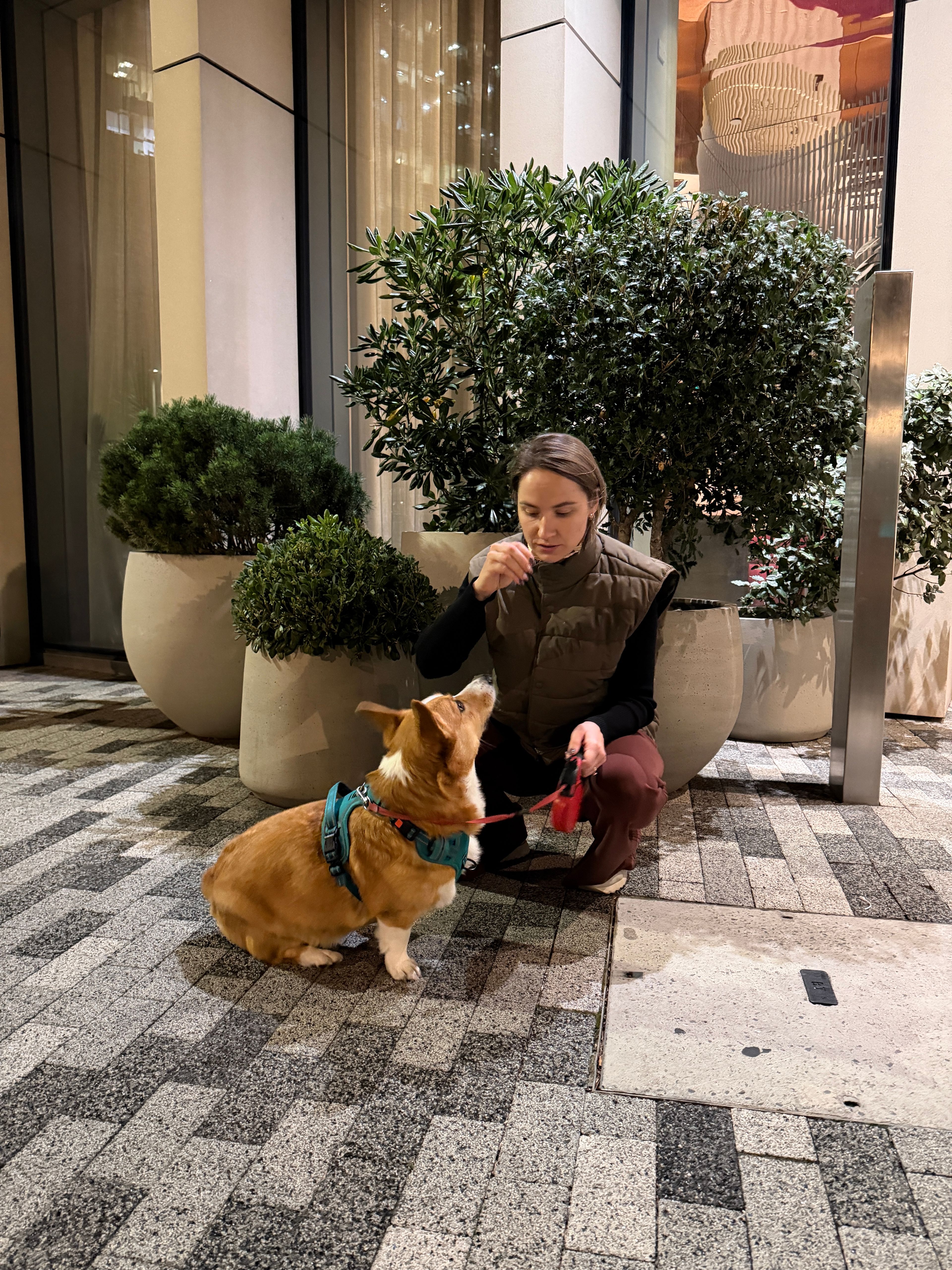 image-6