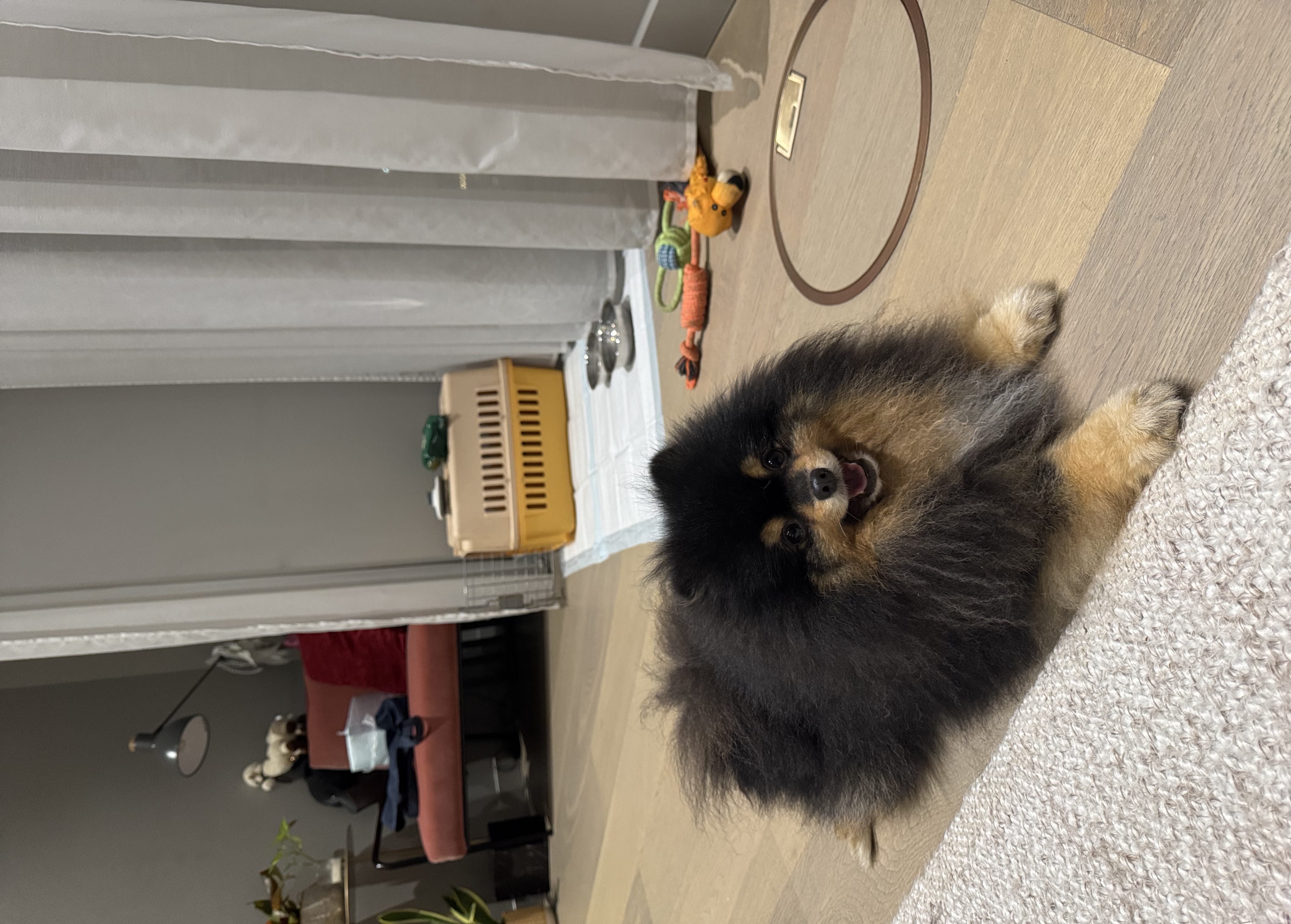 image-8