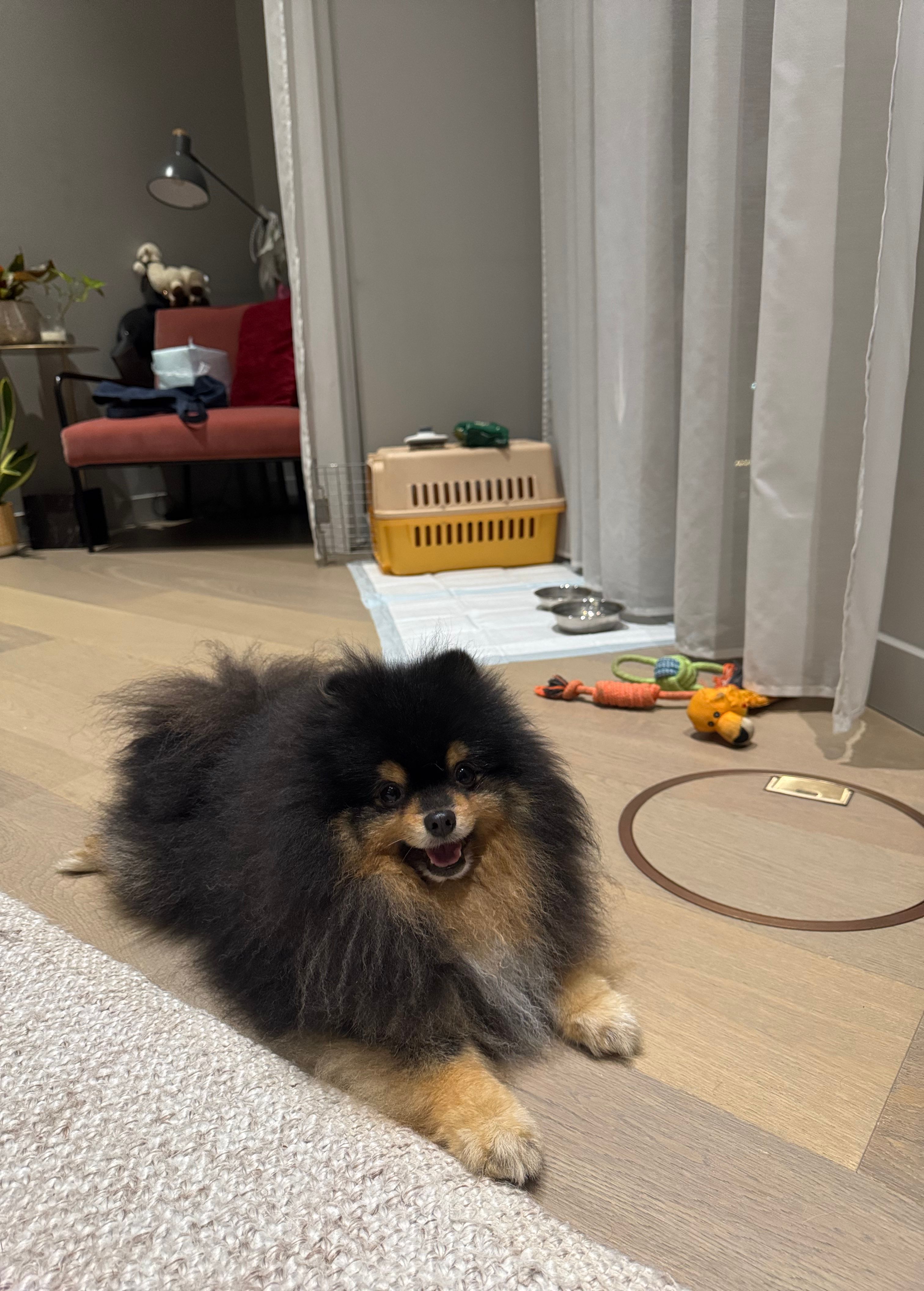 image-8