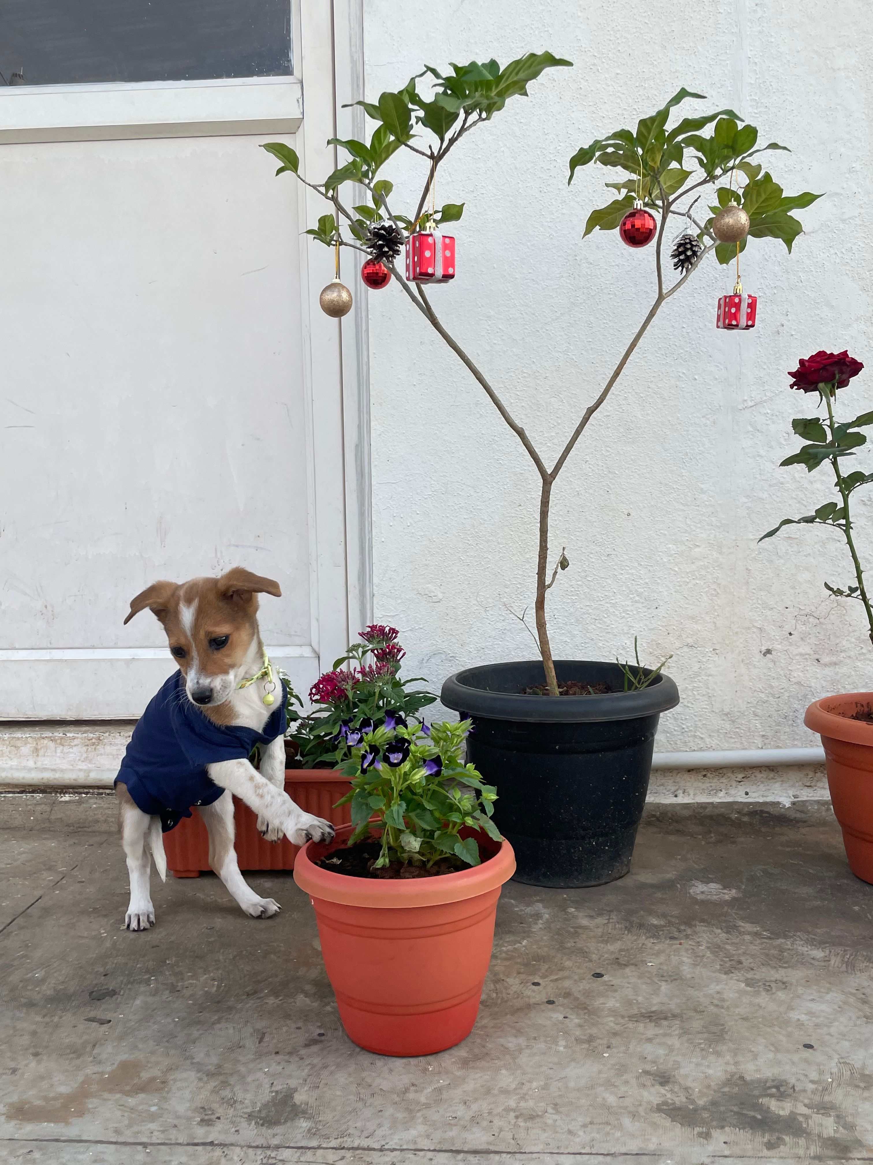 image-5