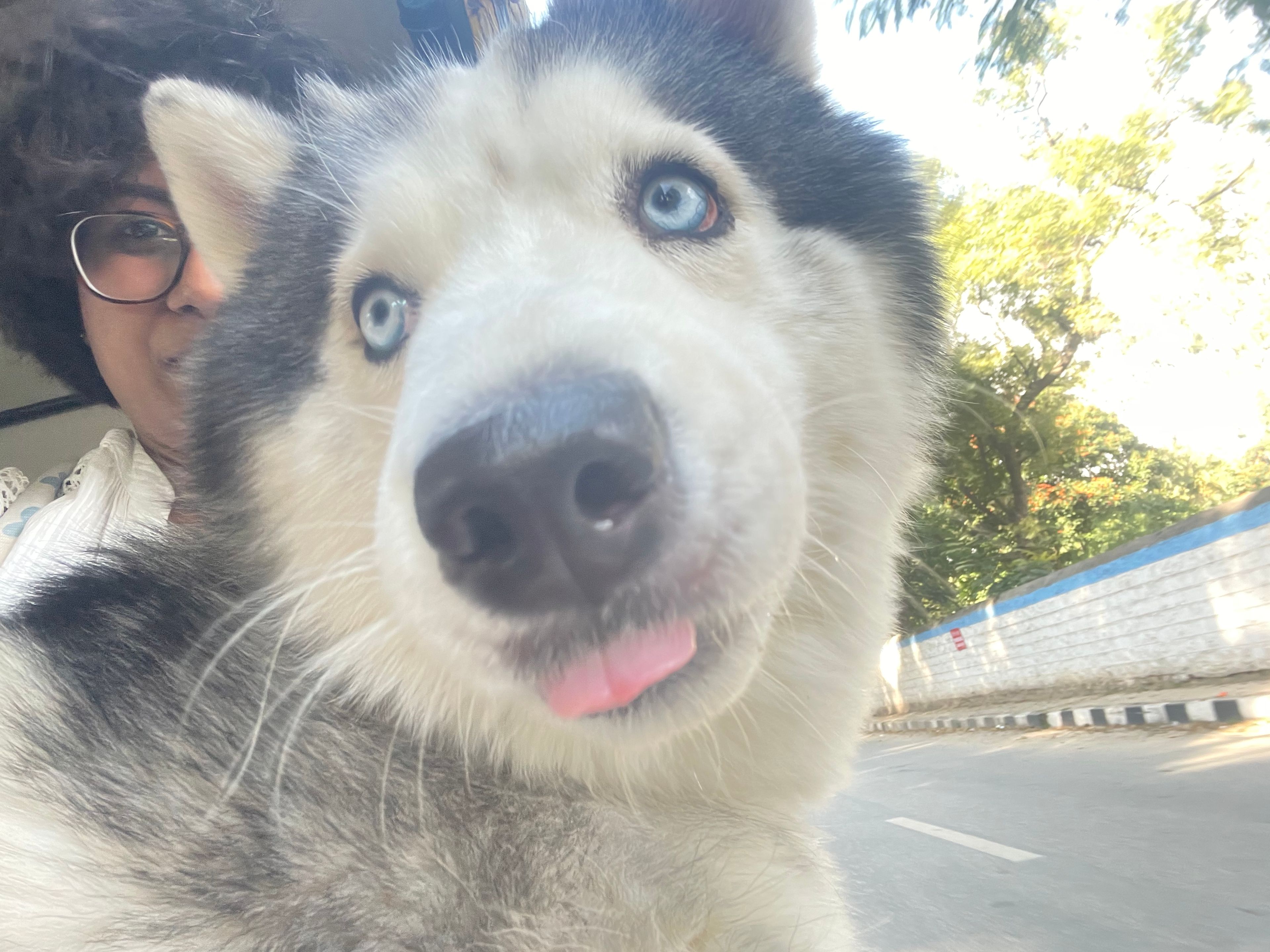 image-9