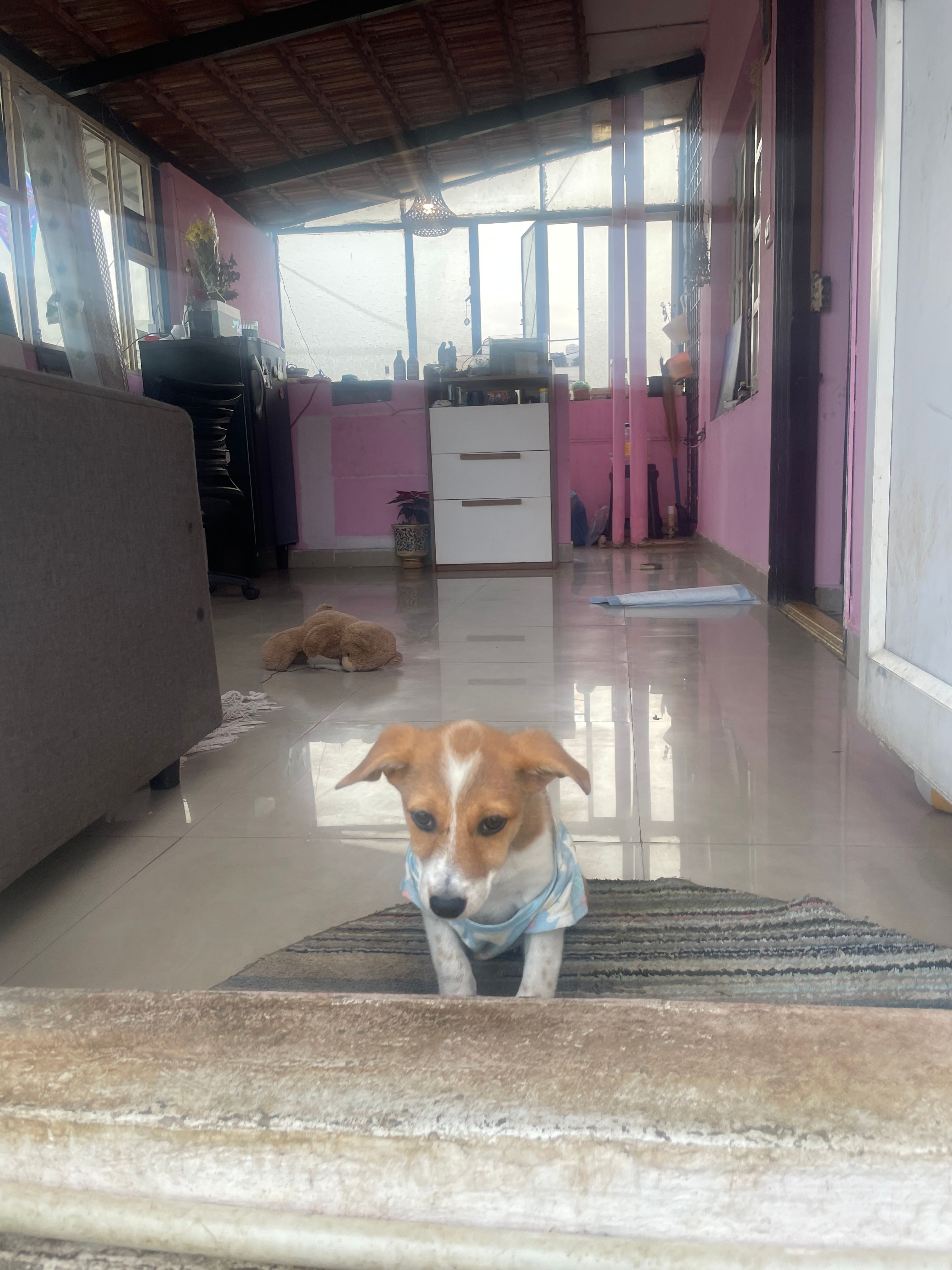 image-10