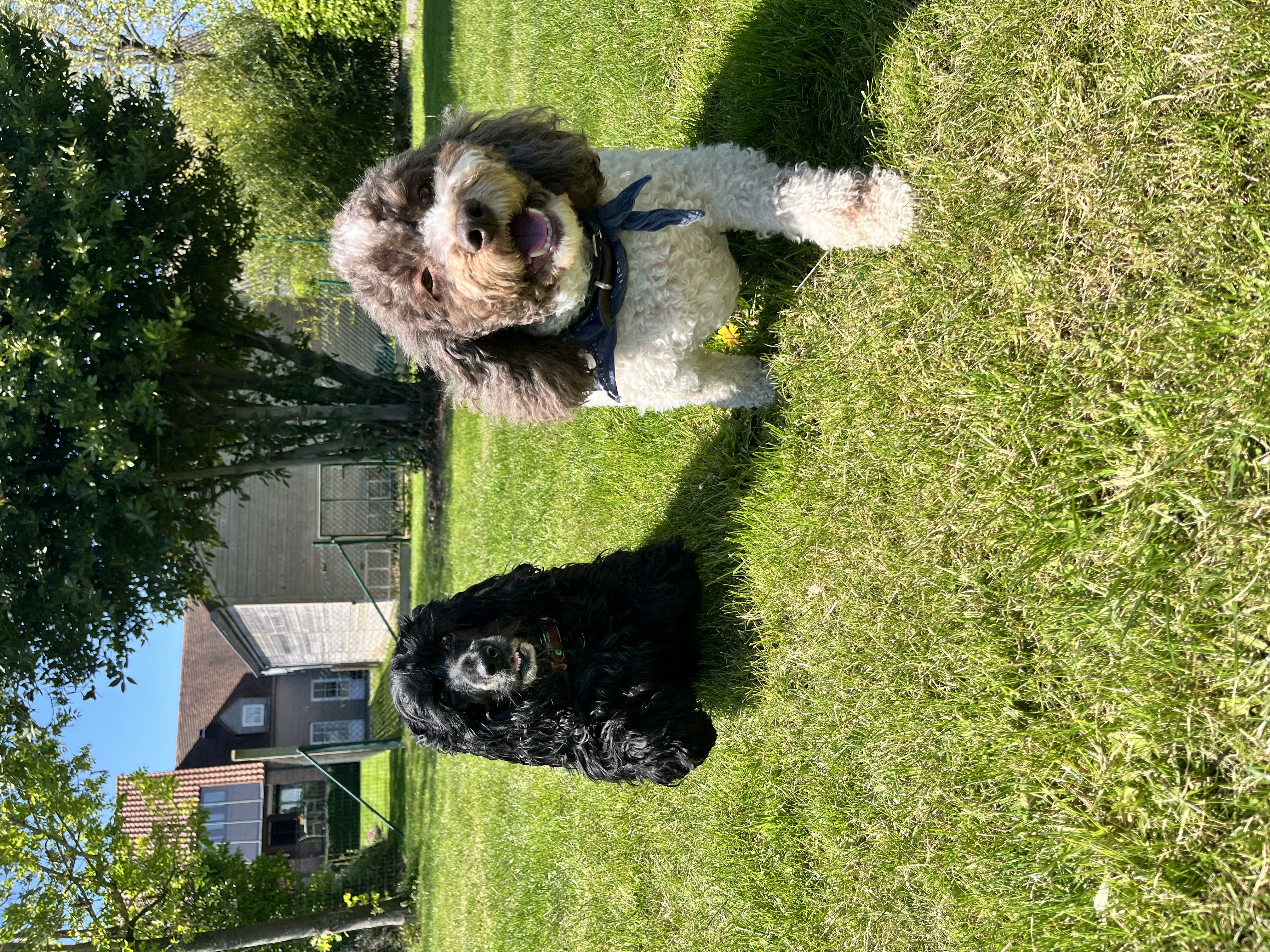 image-26