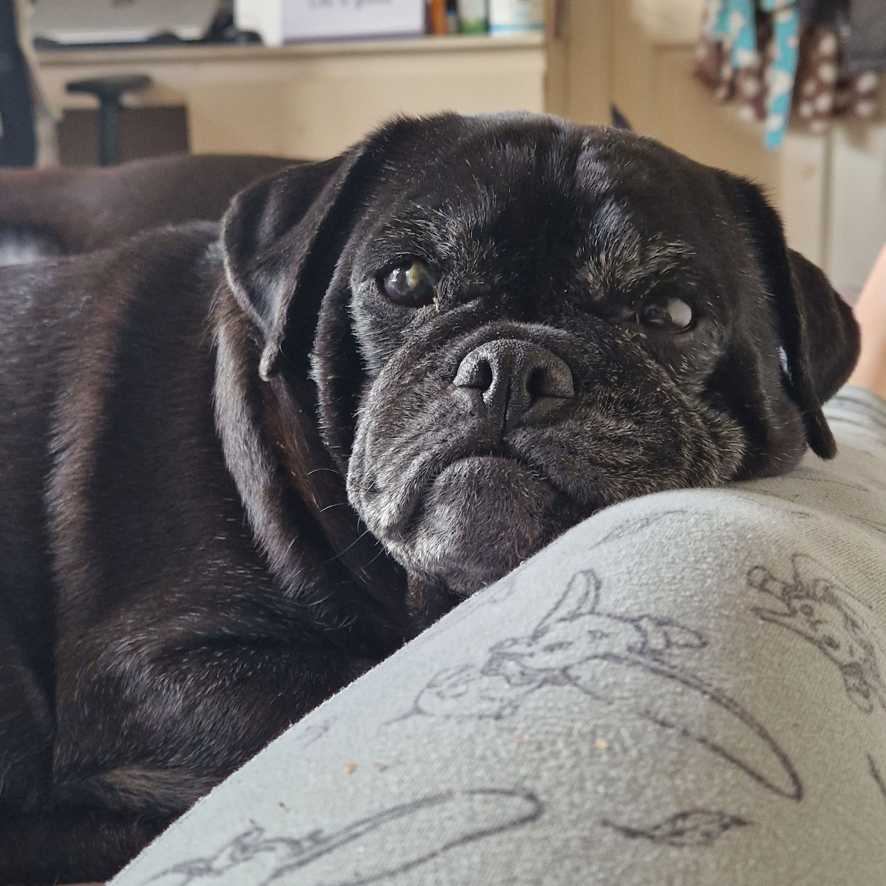 Buster