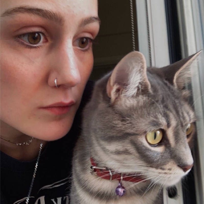 daphne