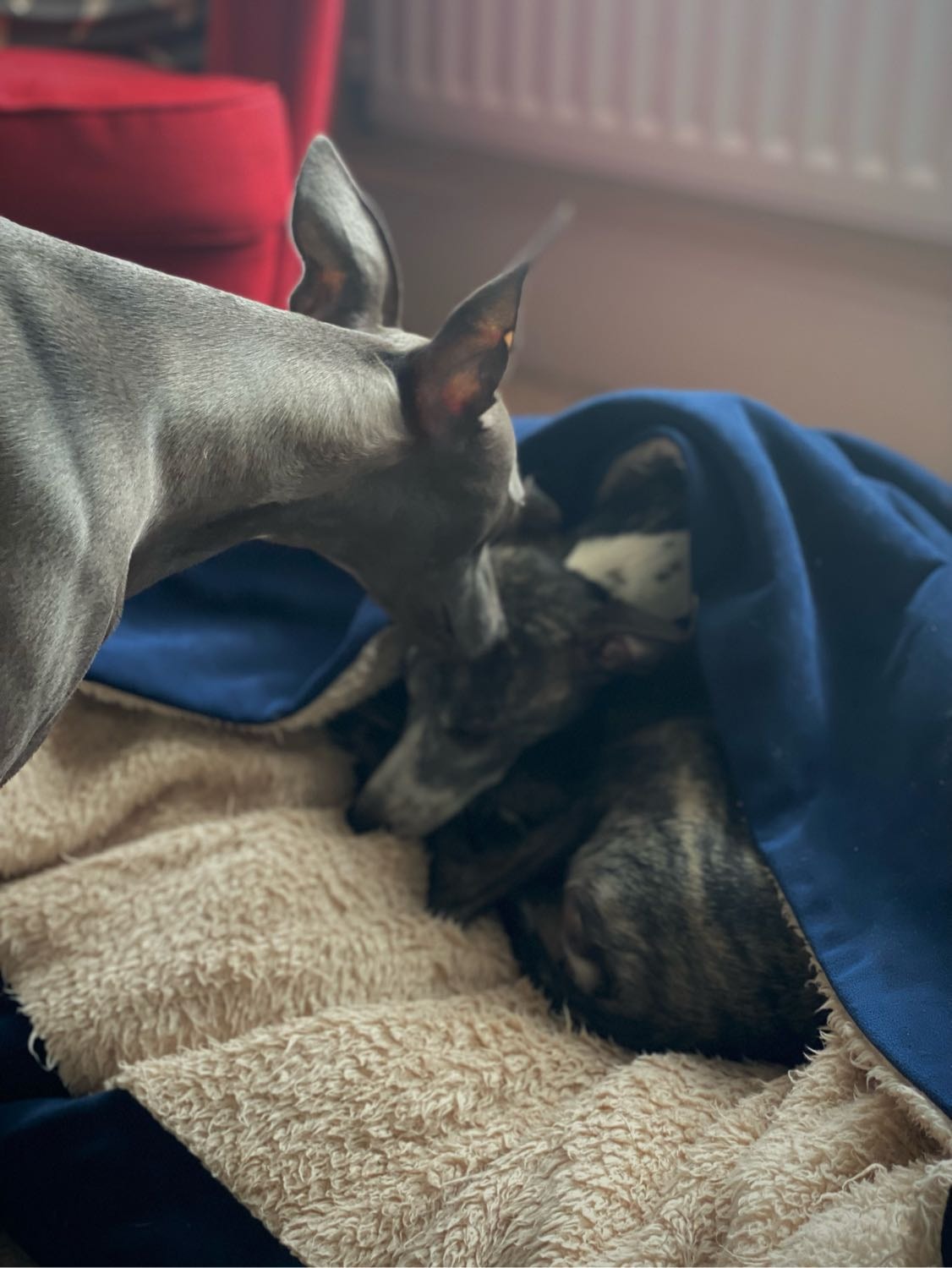 image-28