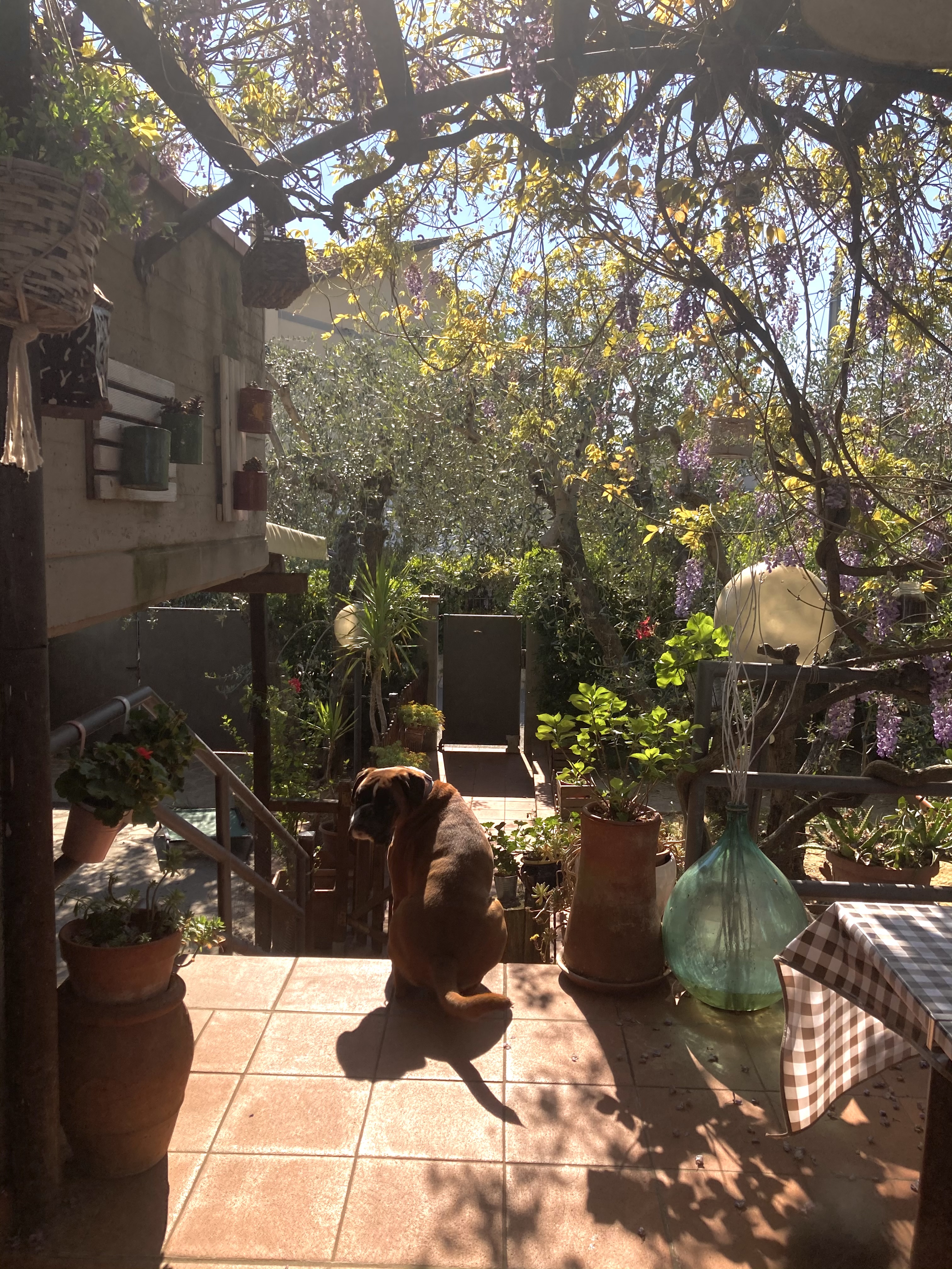 image-14