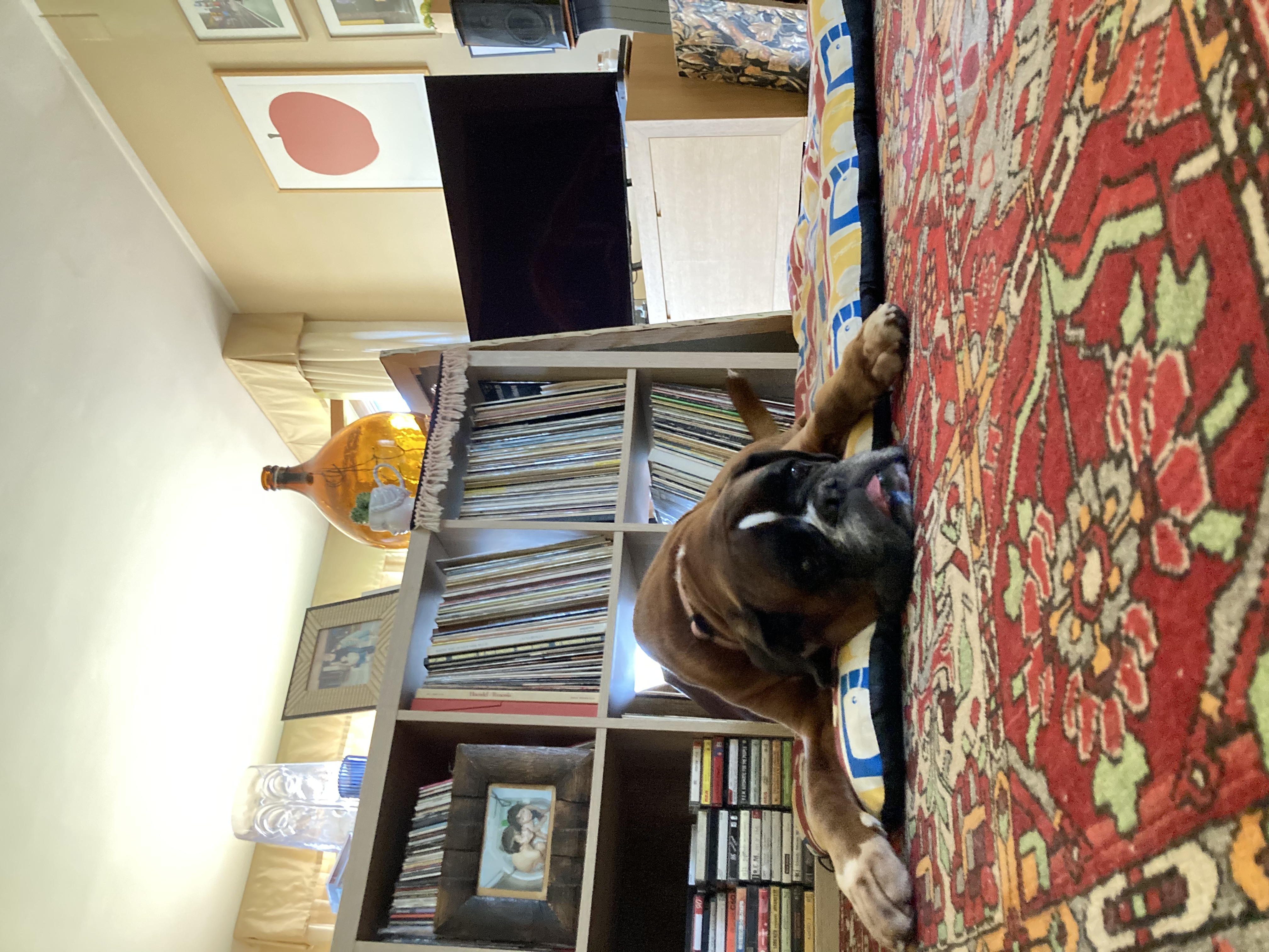 image-7