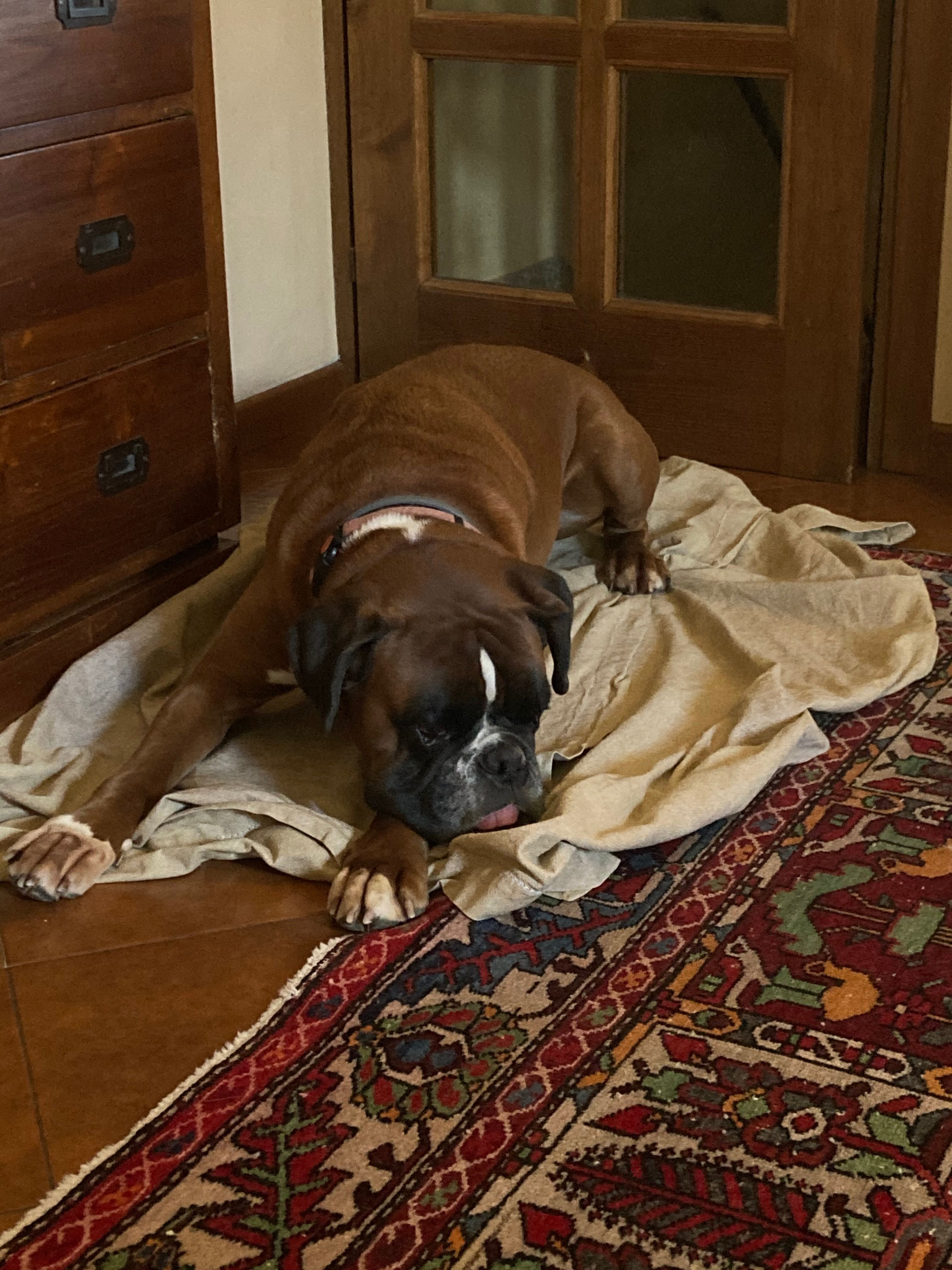 image-17