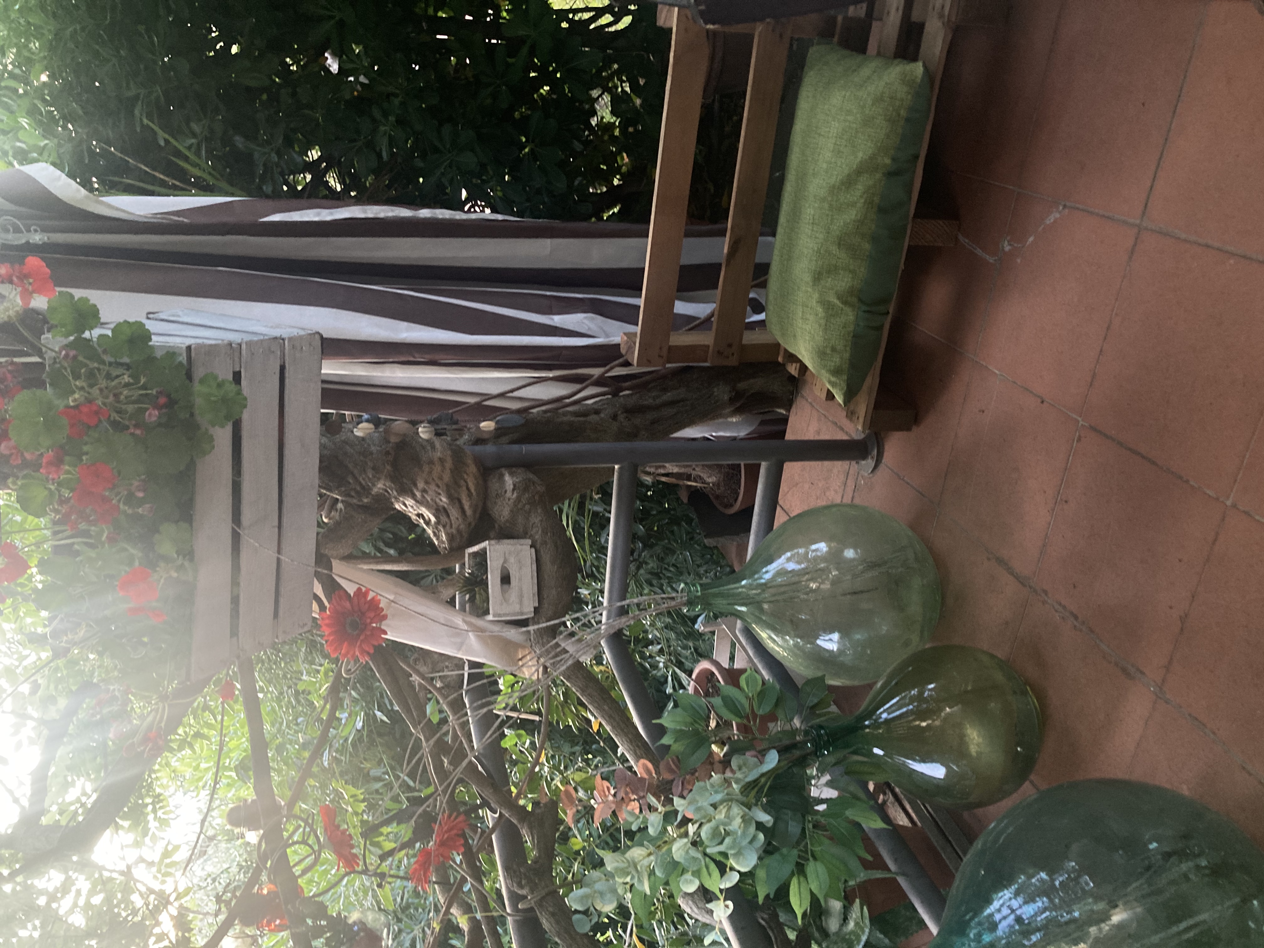 image-16