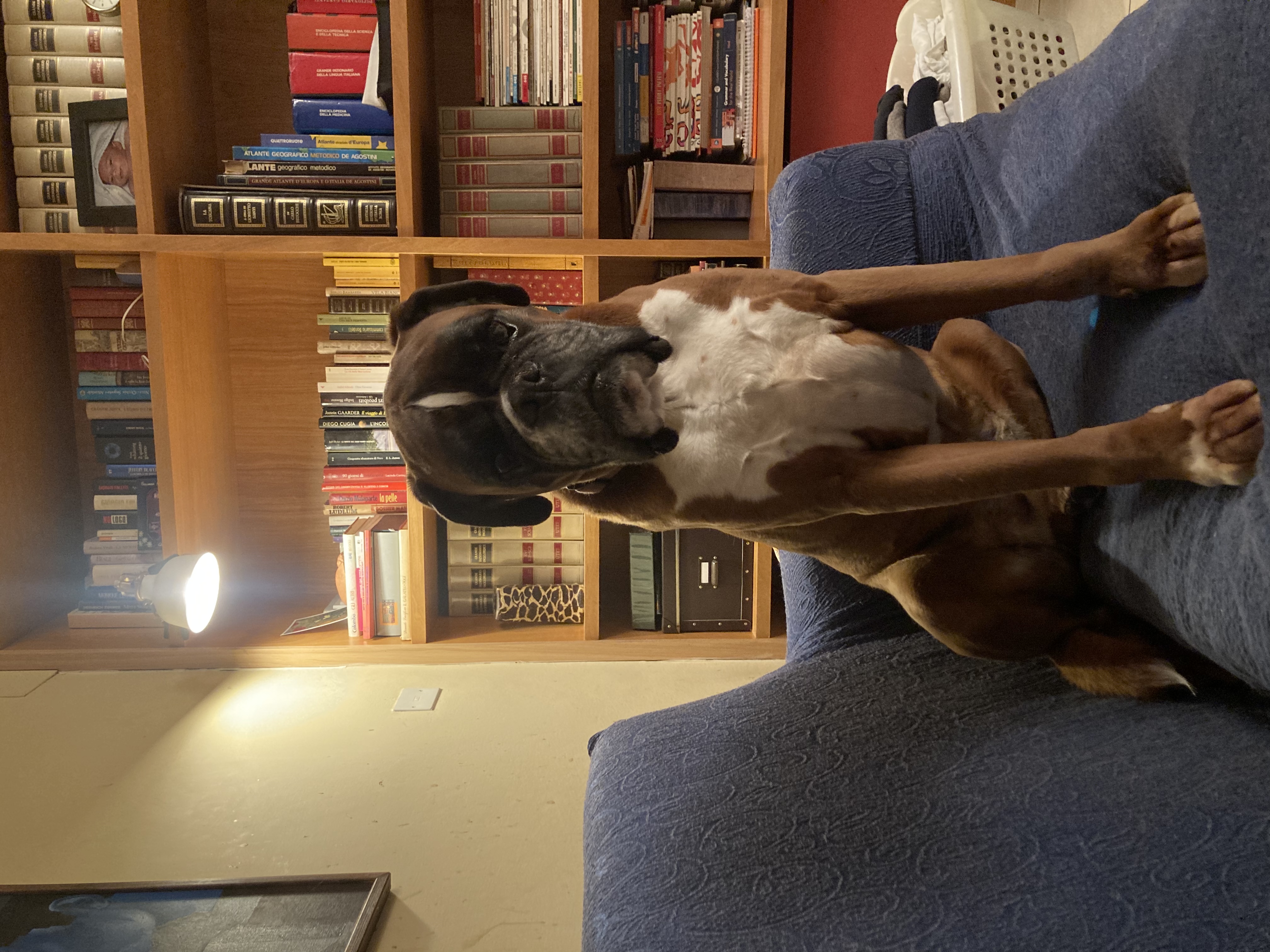 image-8