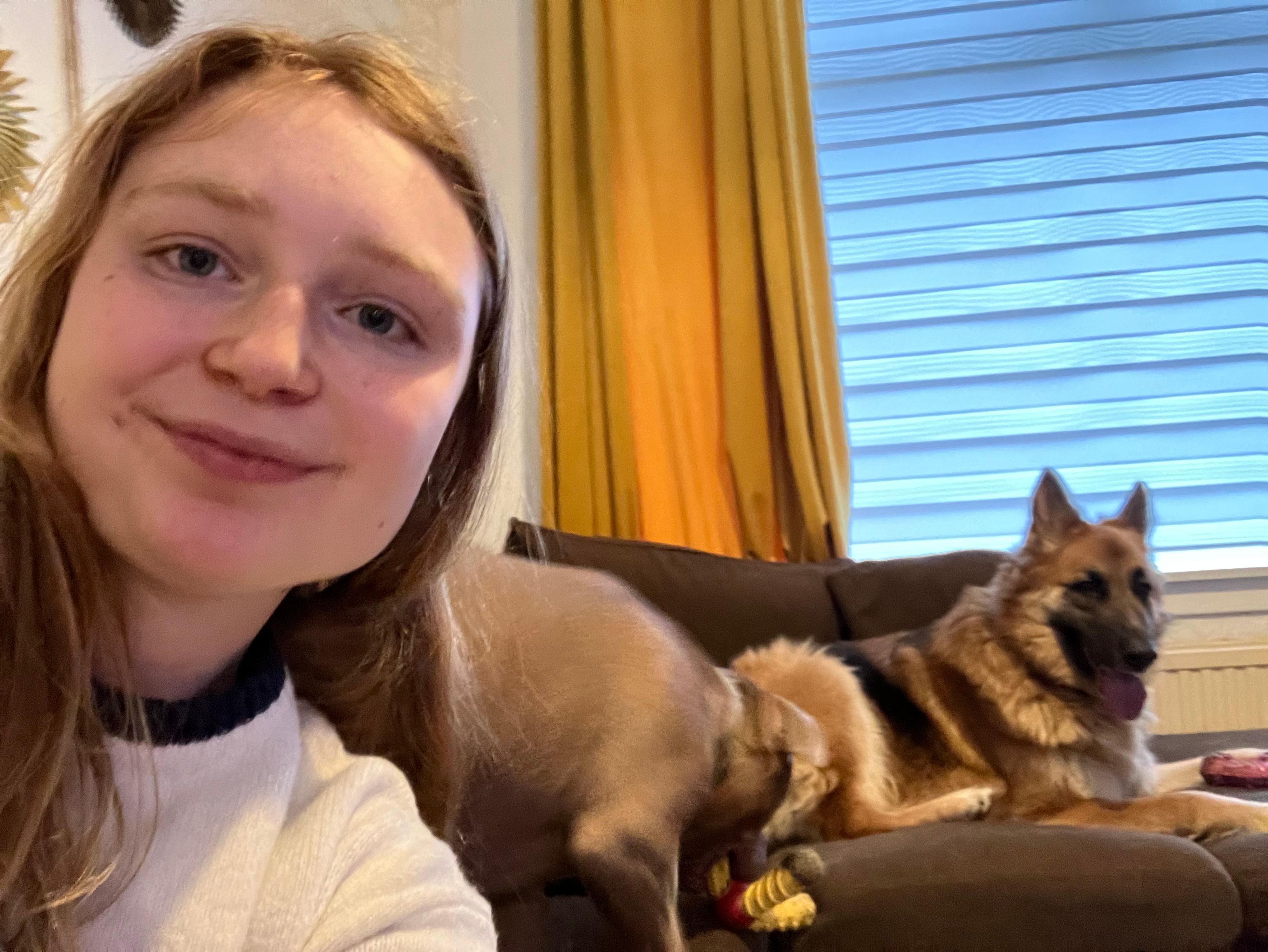 image-10