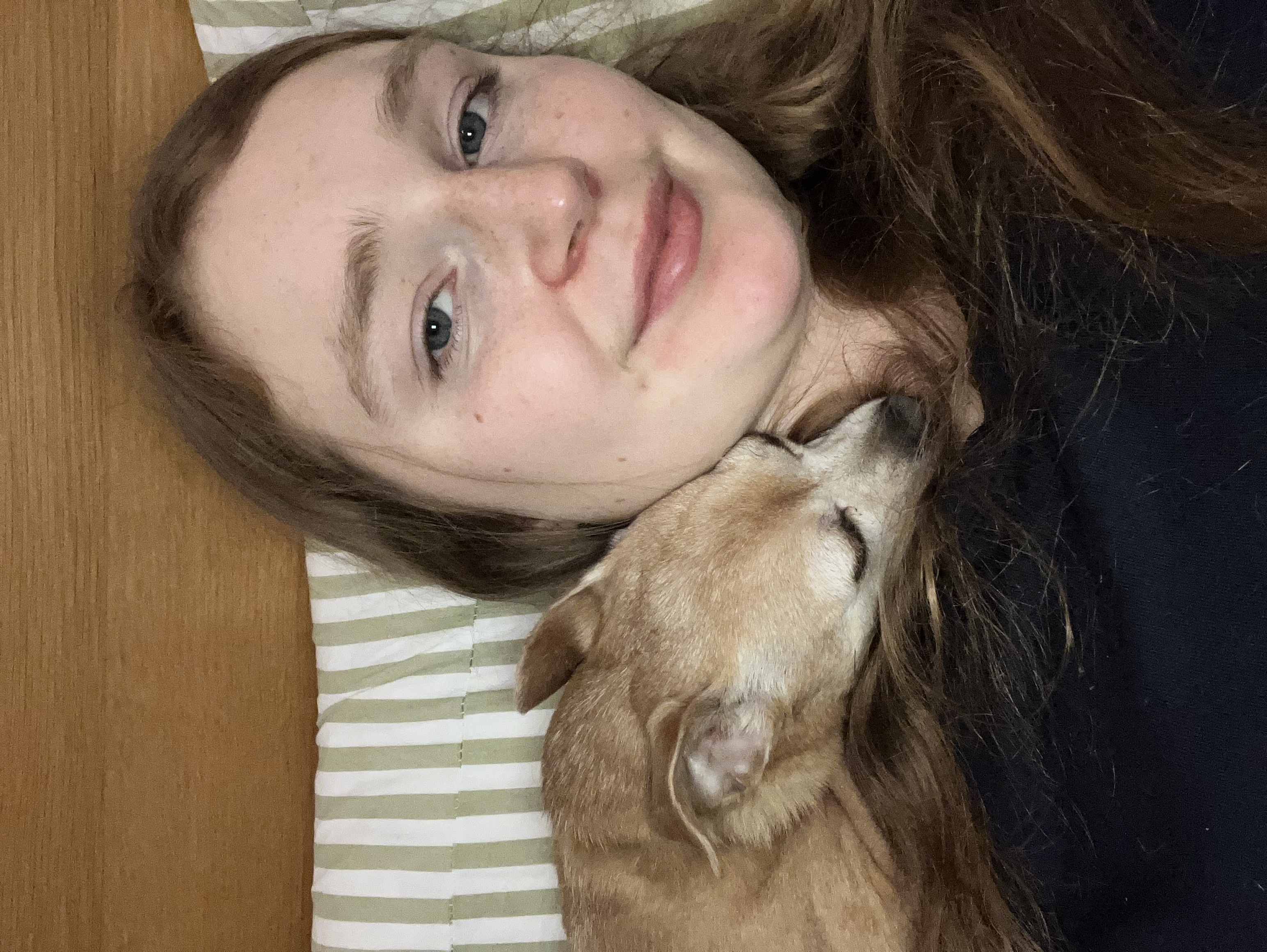 image-11