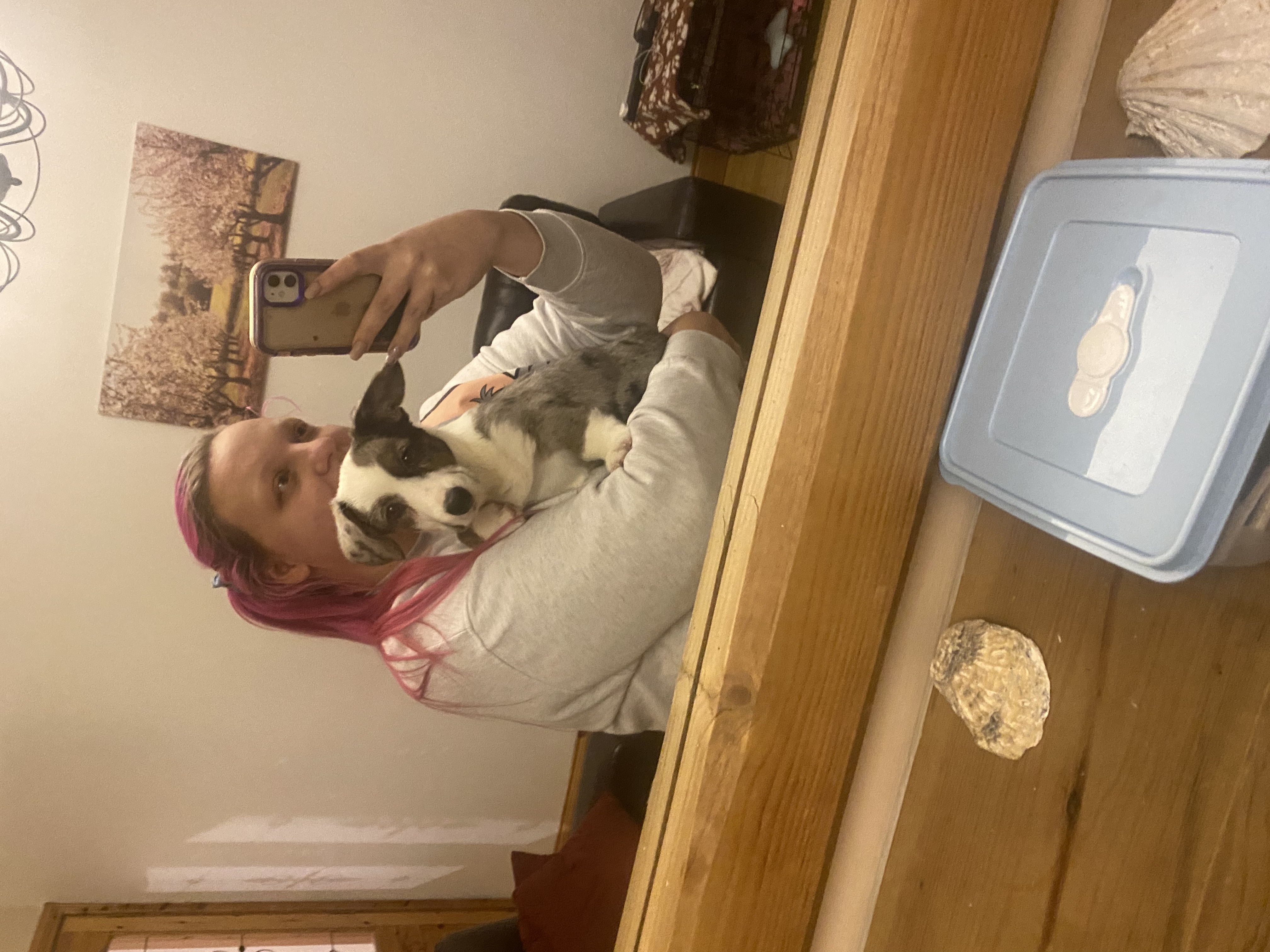 image-6