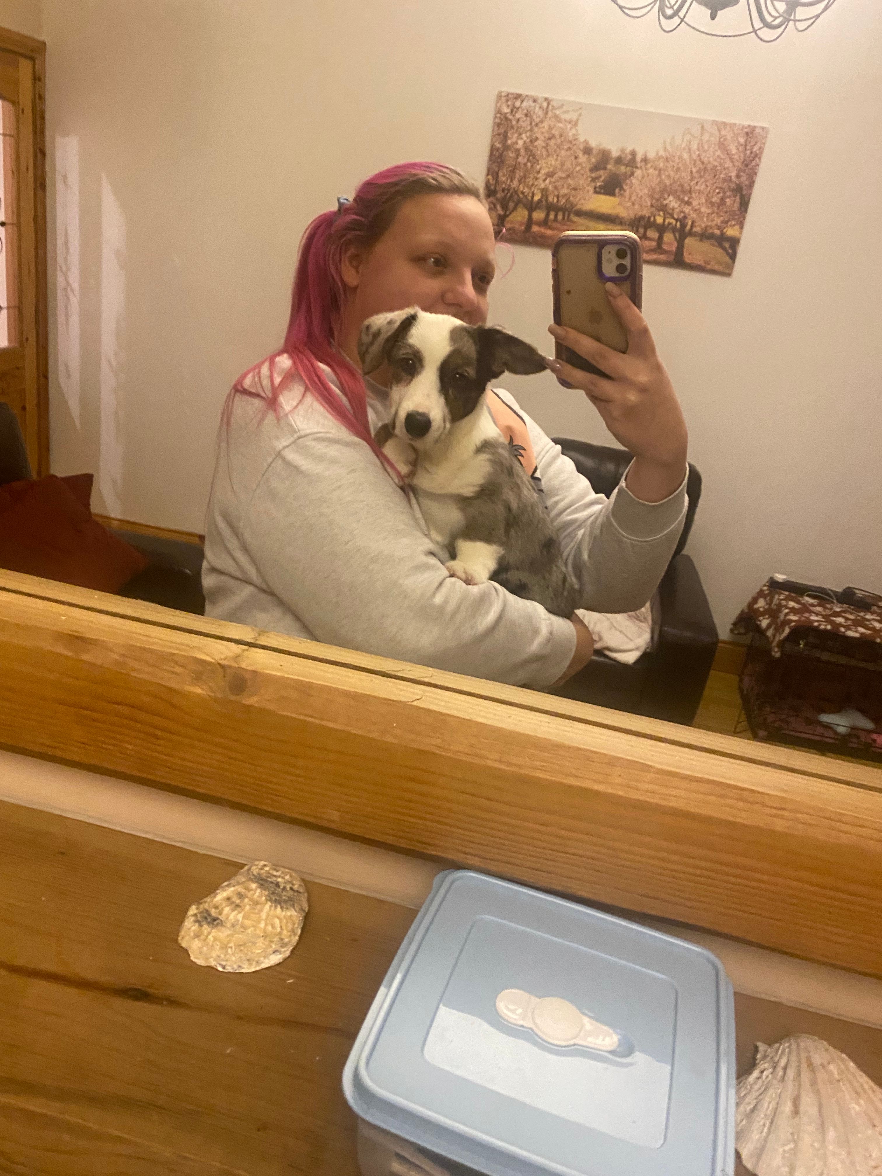 image-6