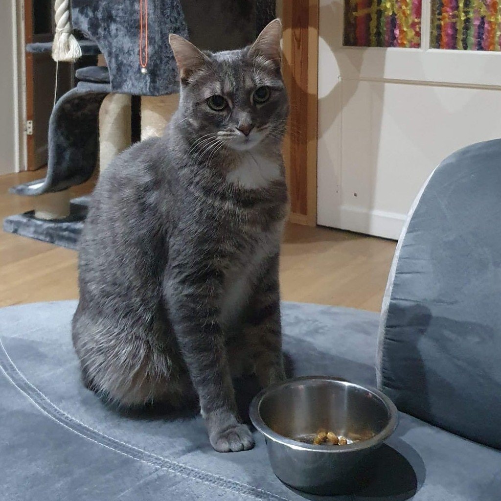 Cancrelune aka Pipoune