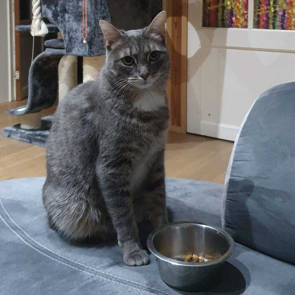 Cancrelune aka Pipoune