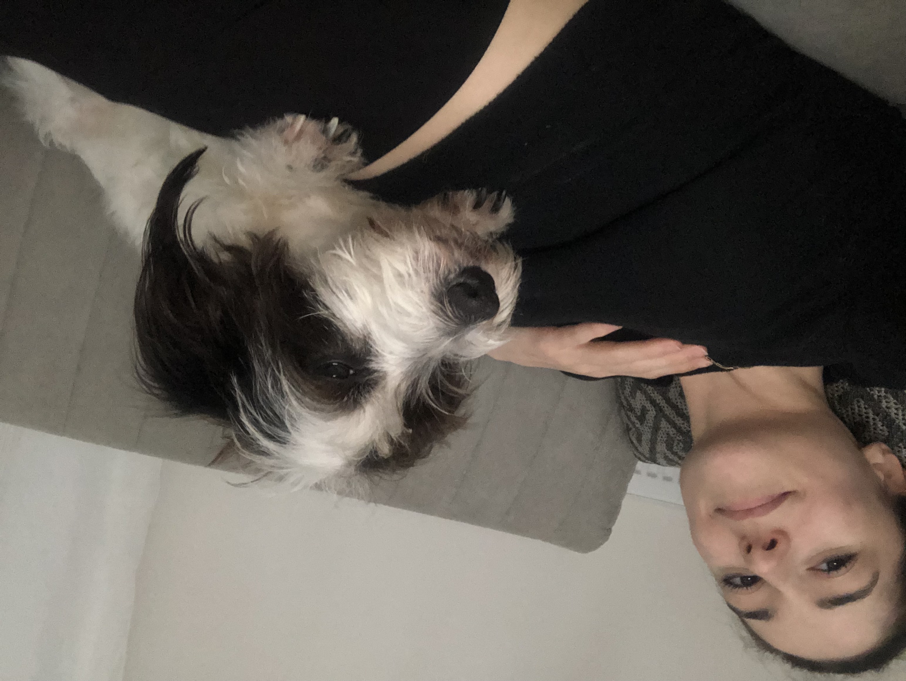 image-9