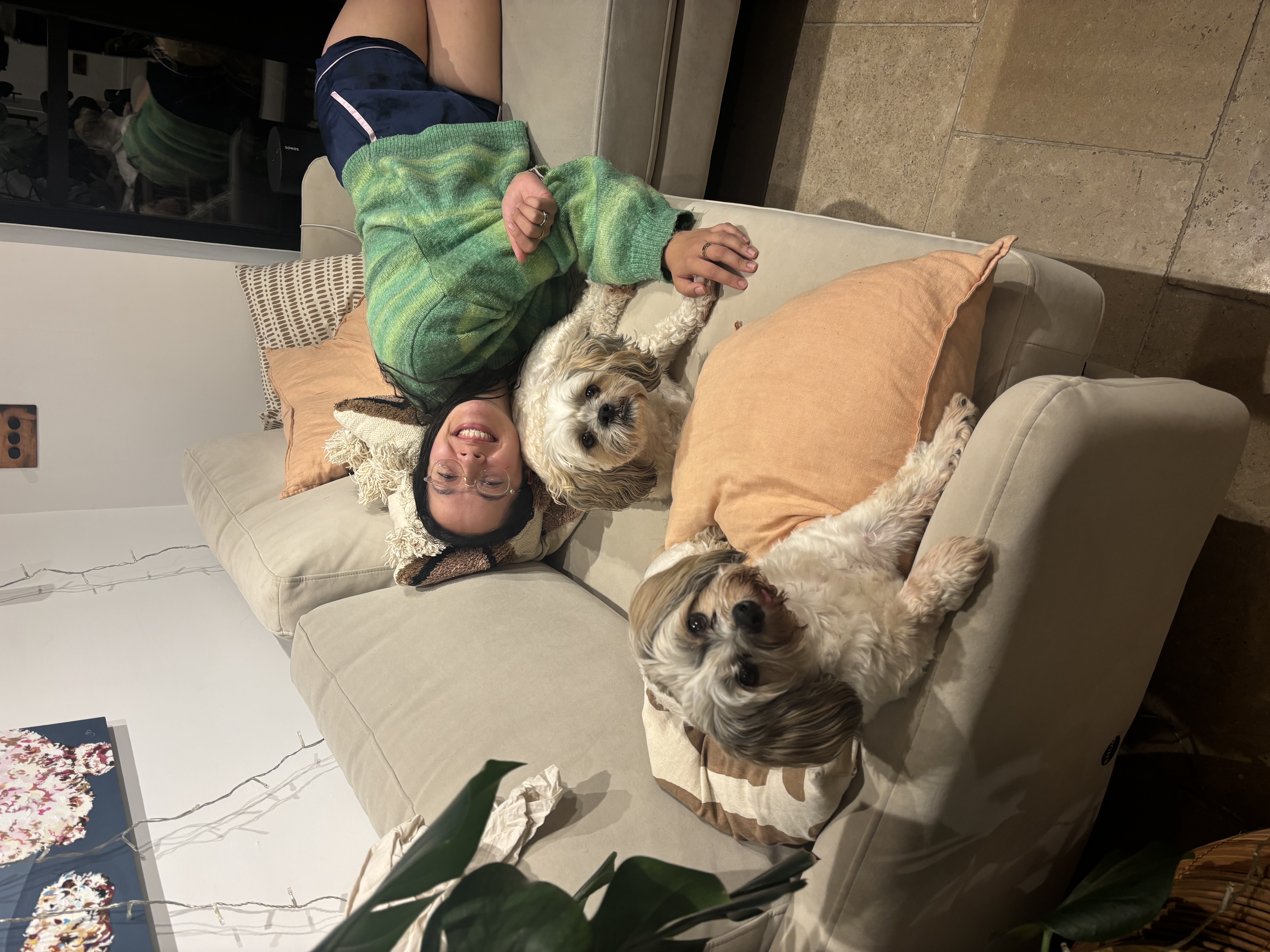 image-7