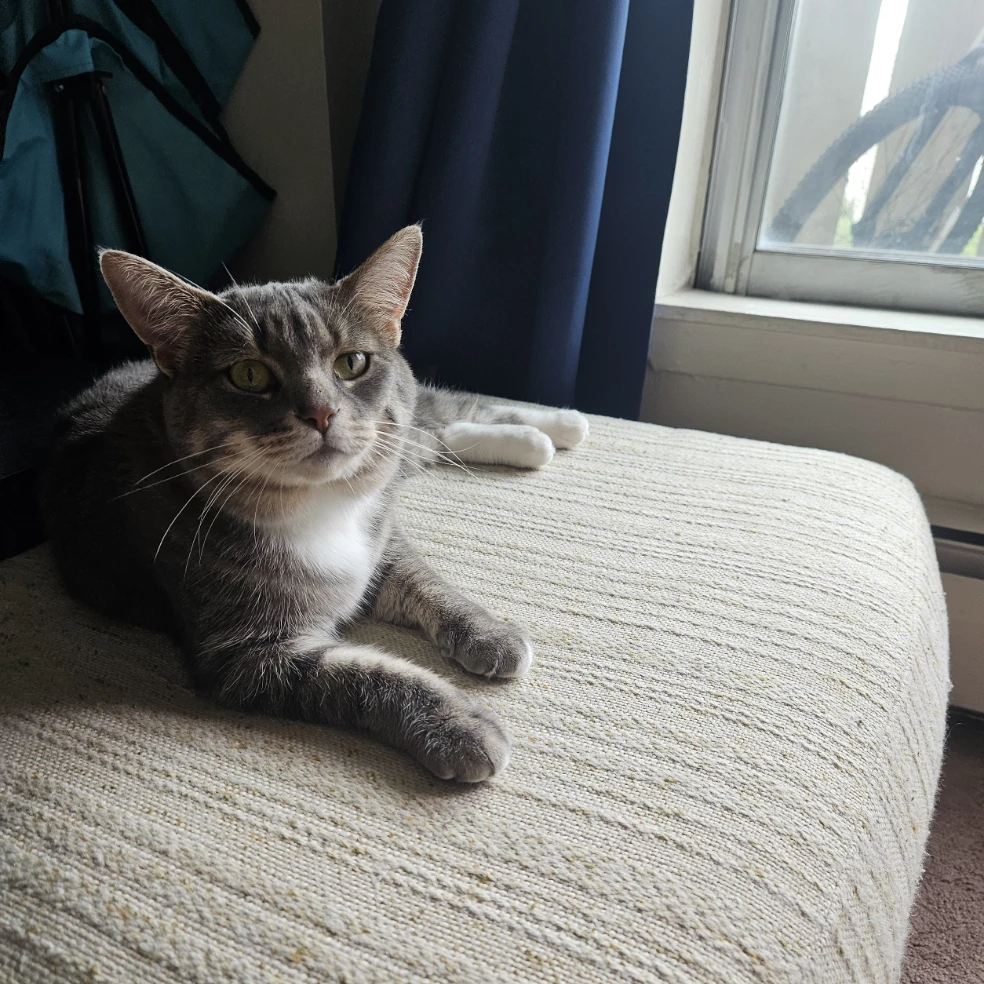 Mila
