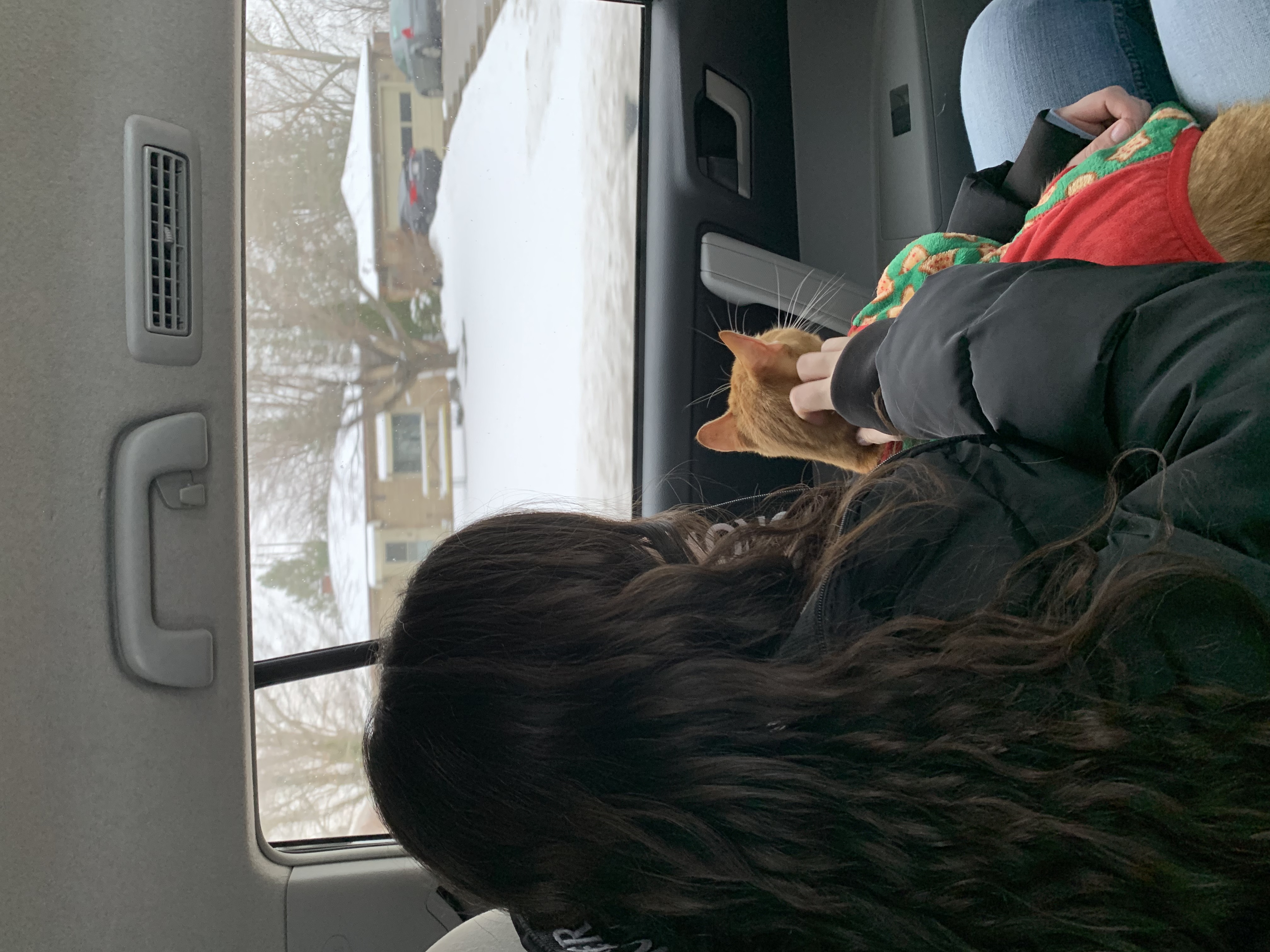 image-11