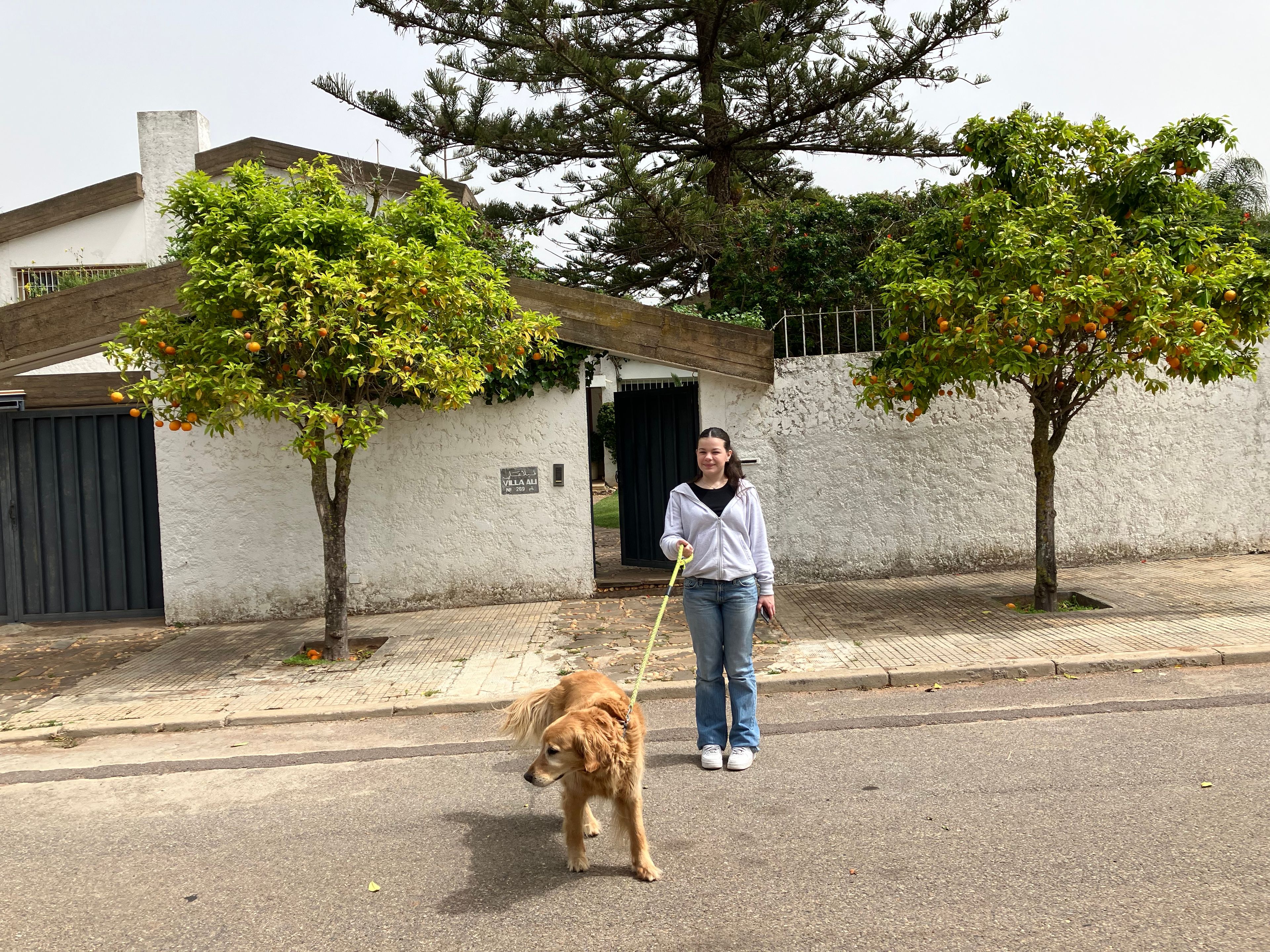 image-6