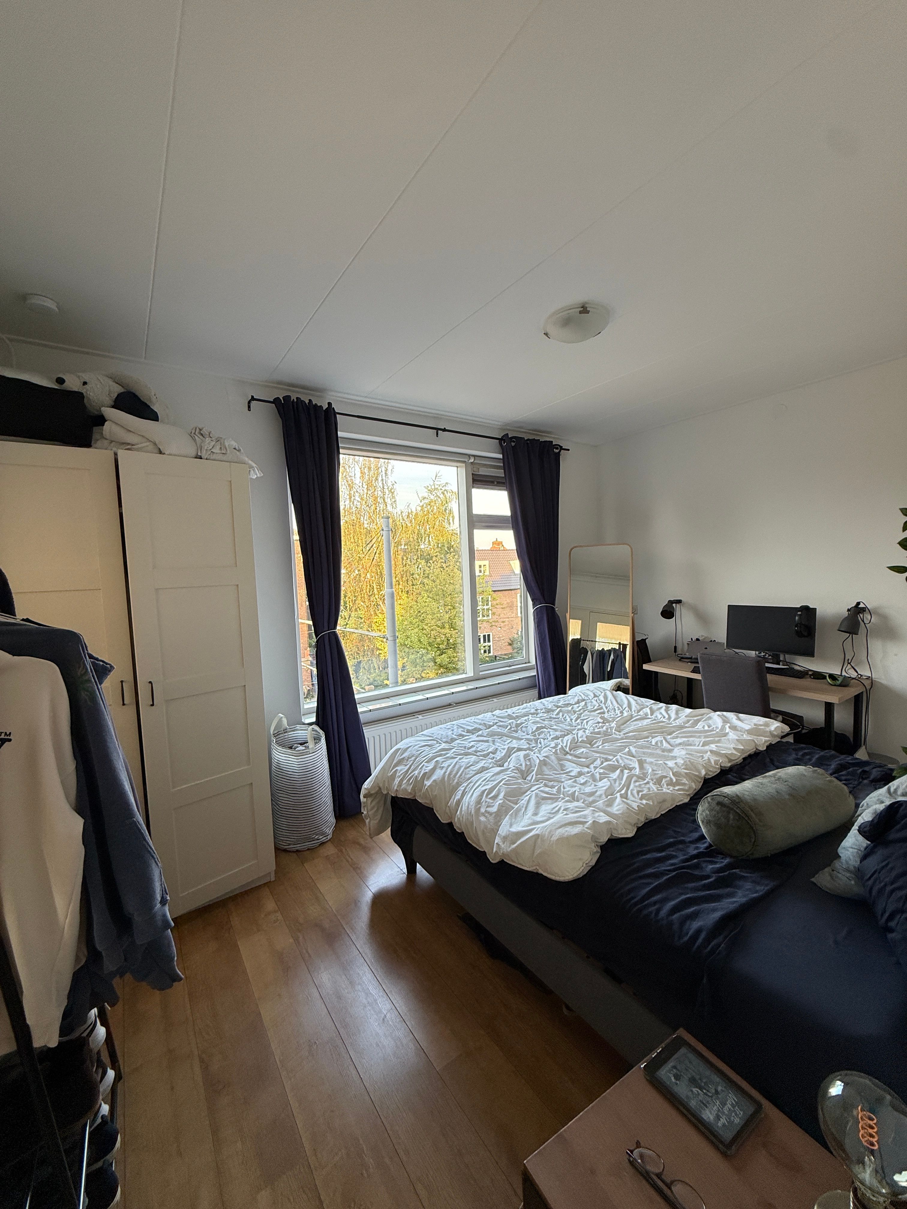 image-12