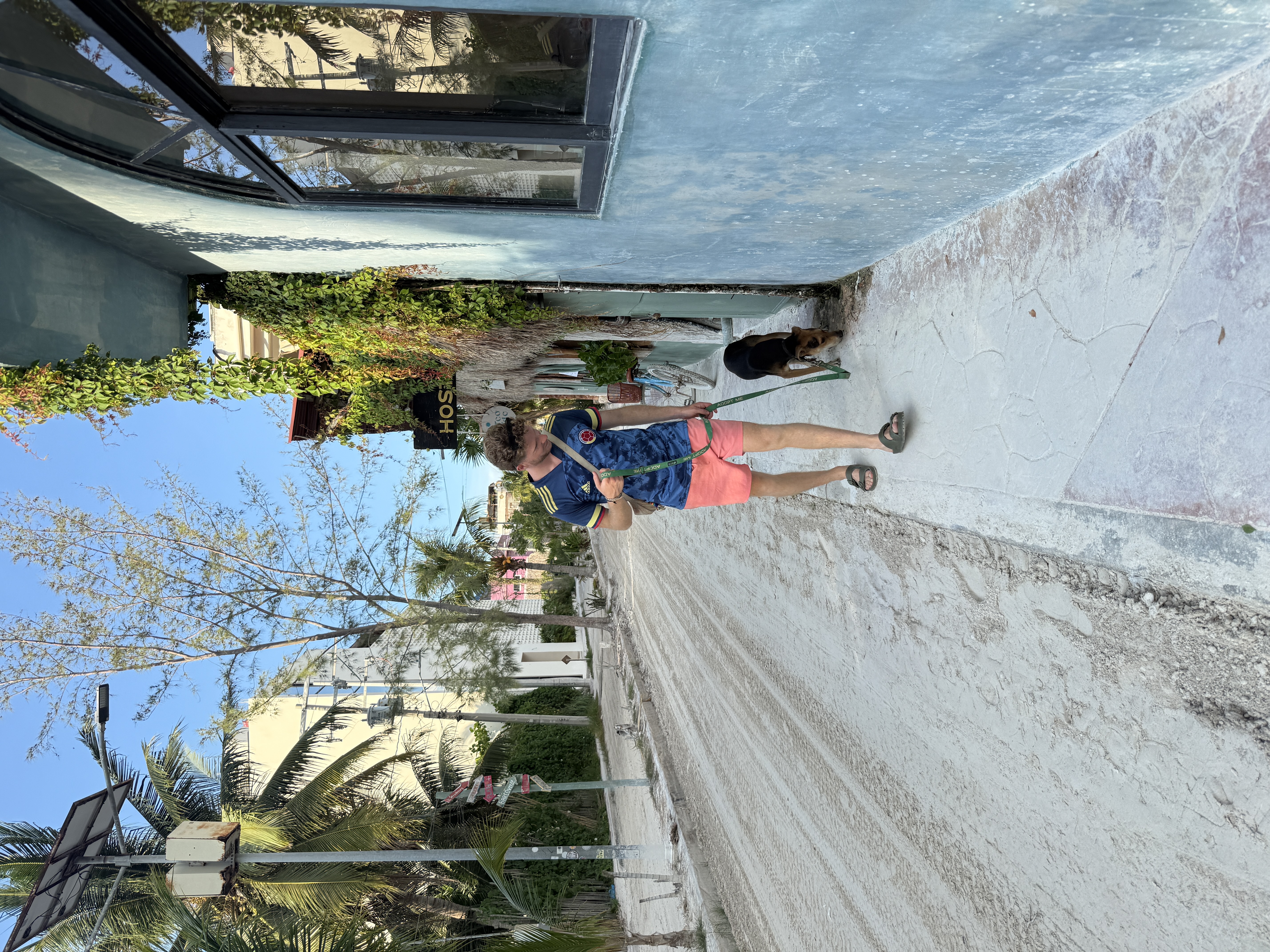 image-5
