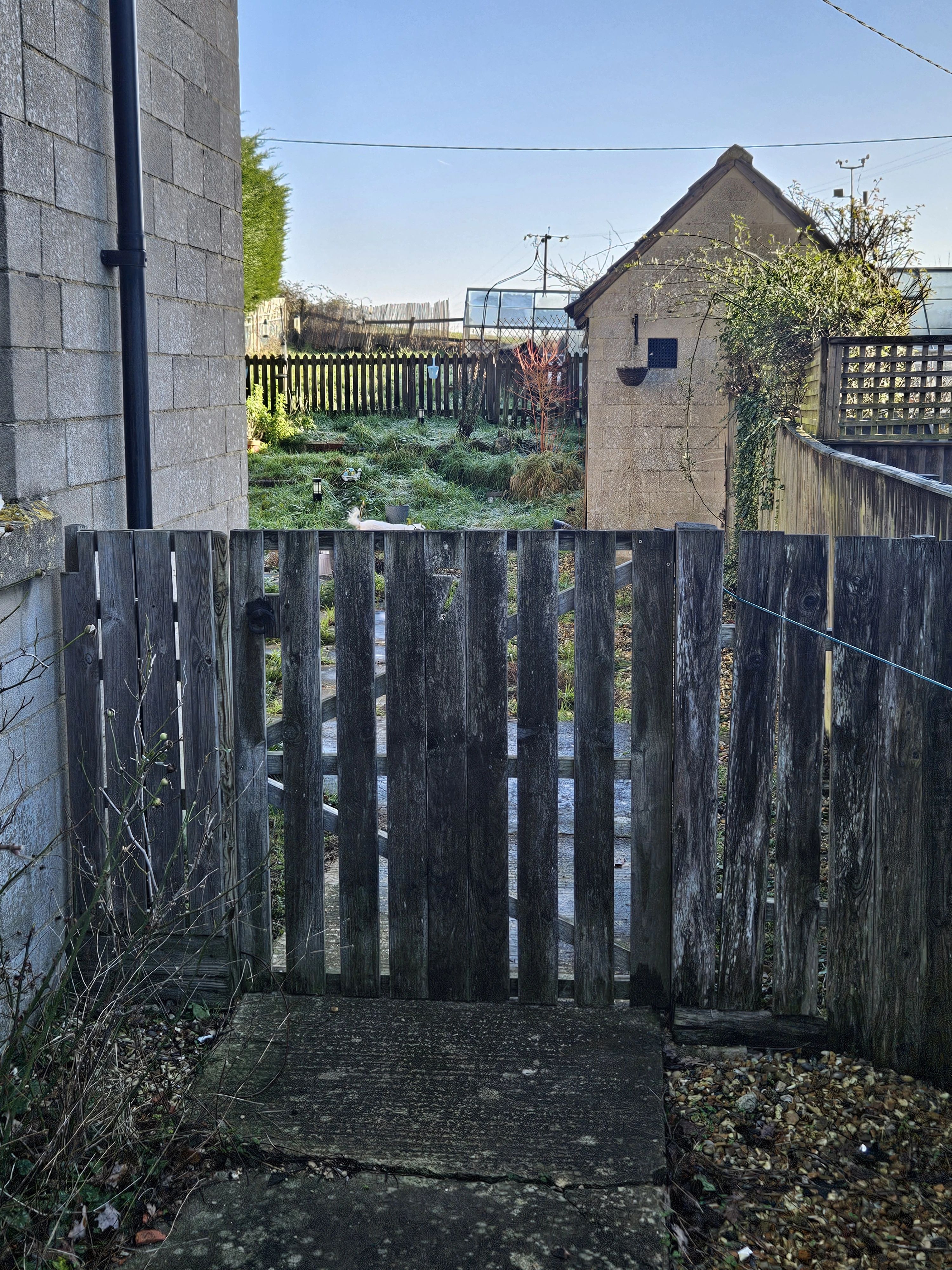 image-19