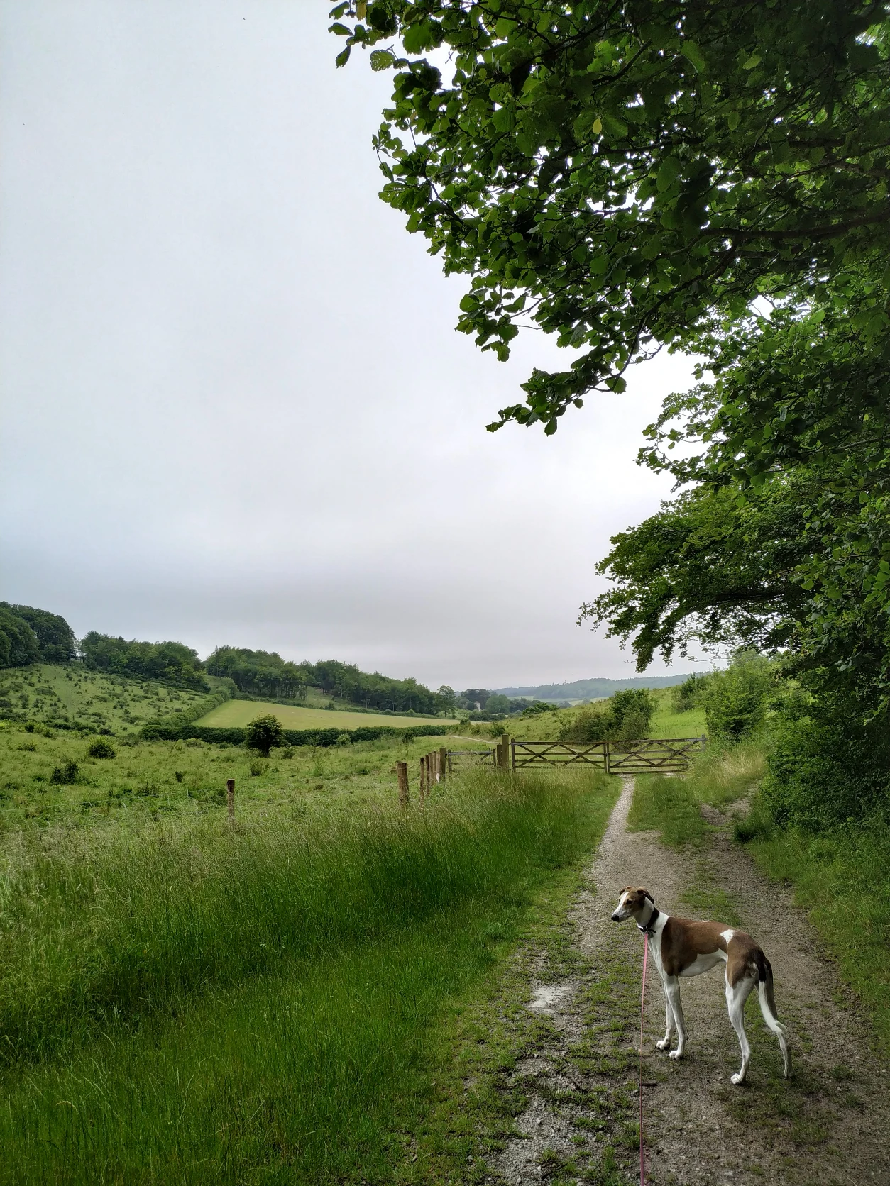 image-6
