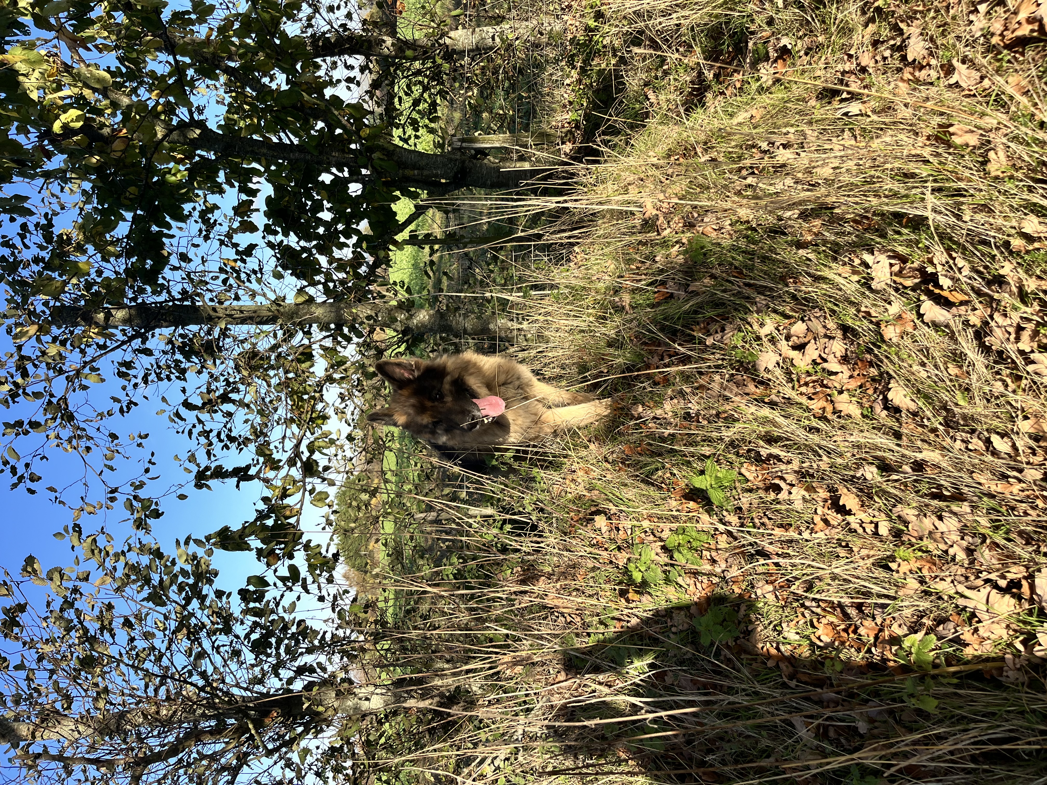 image-8