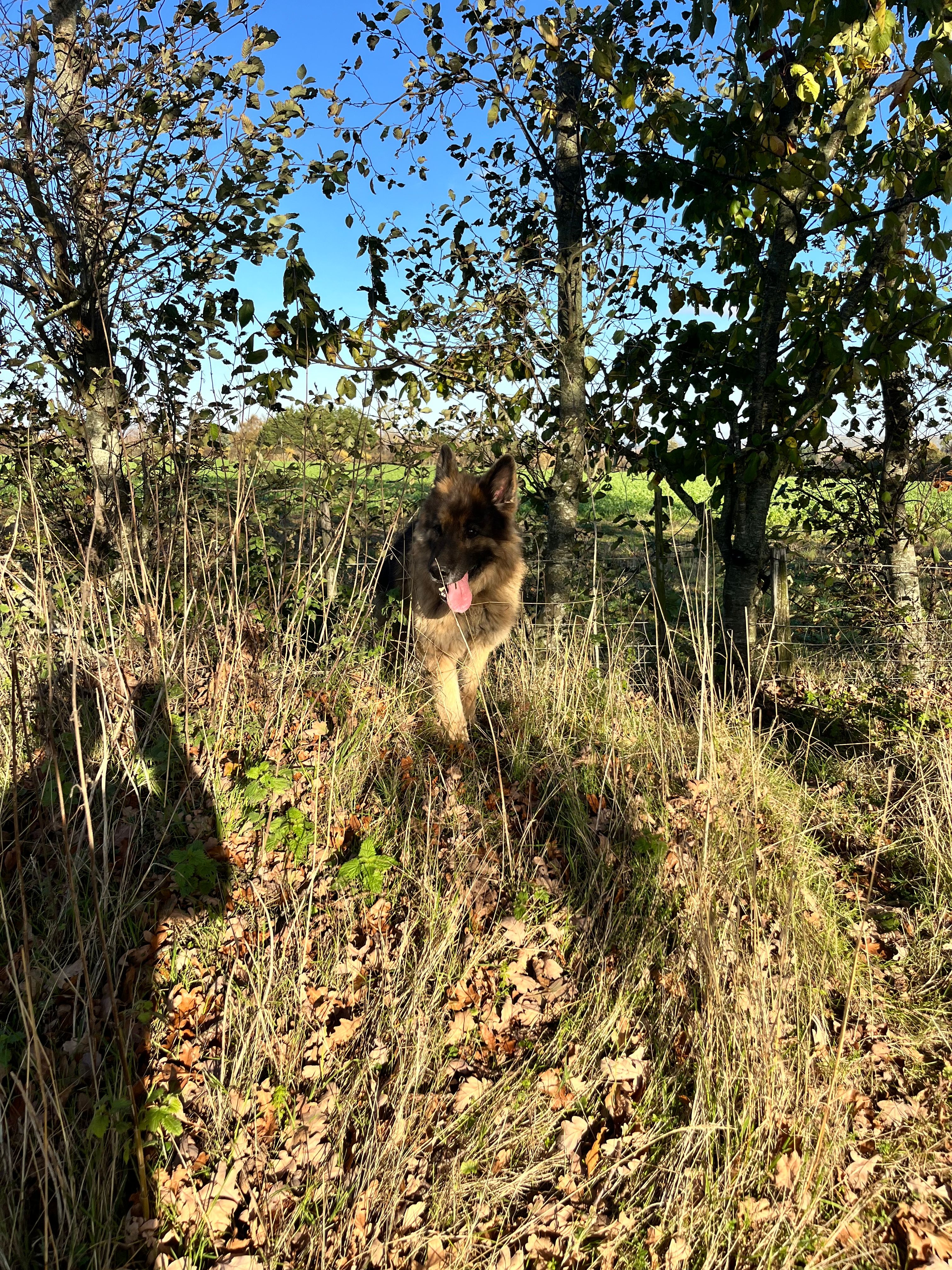 image-8