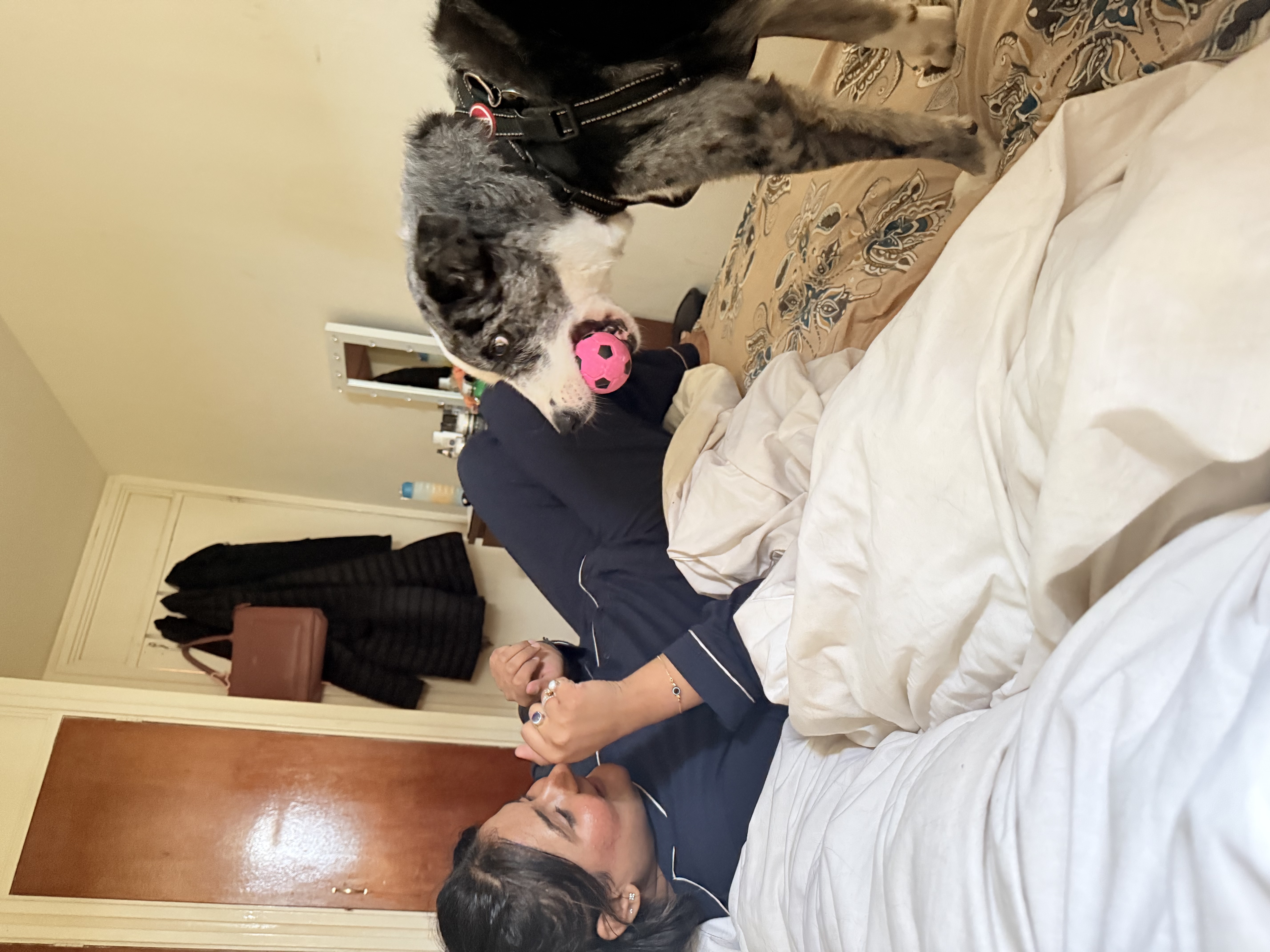 image-2
