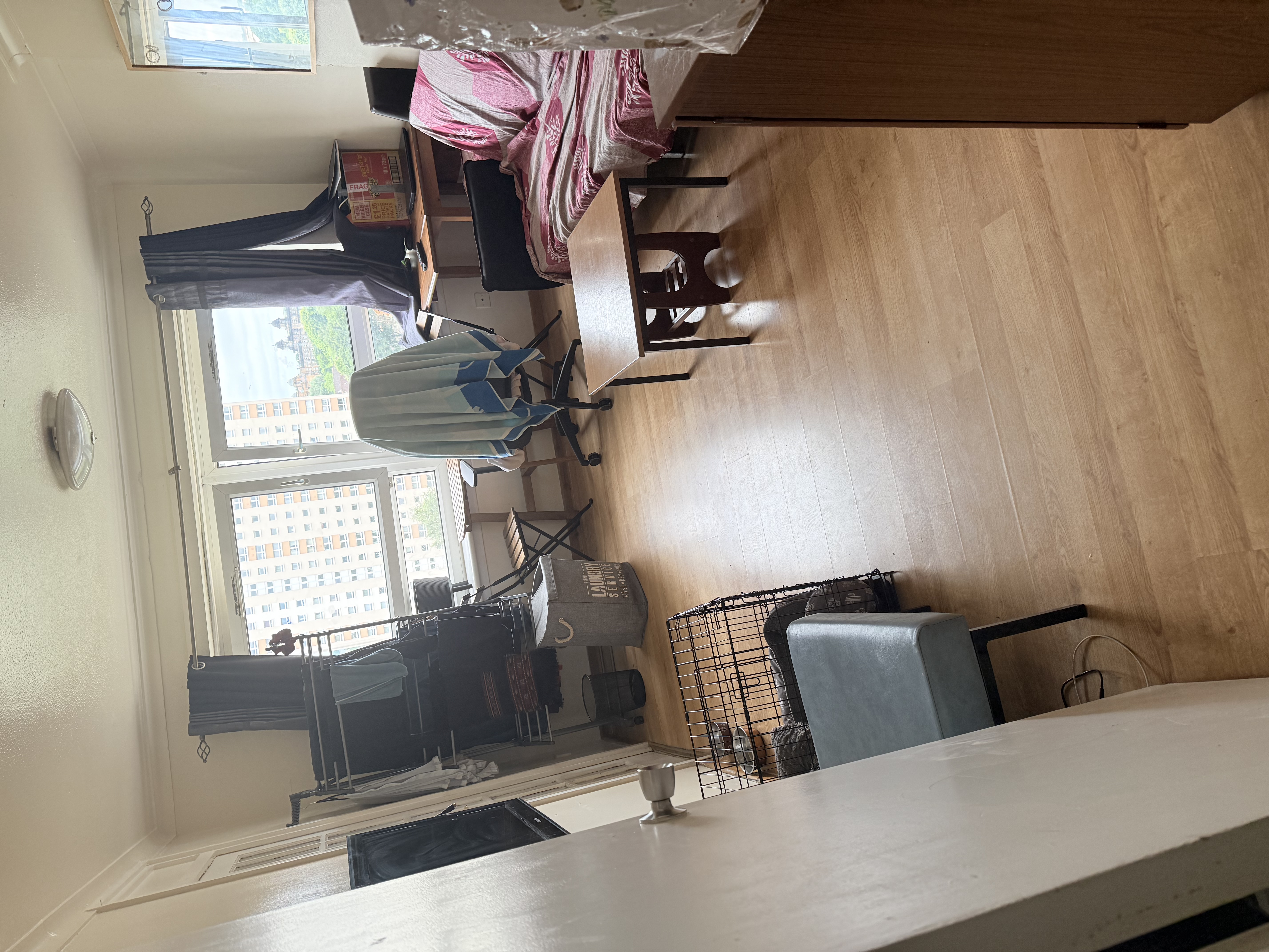 image-20