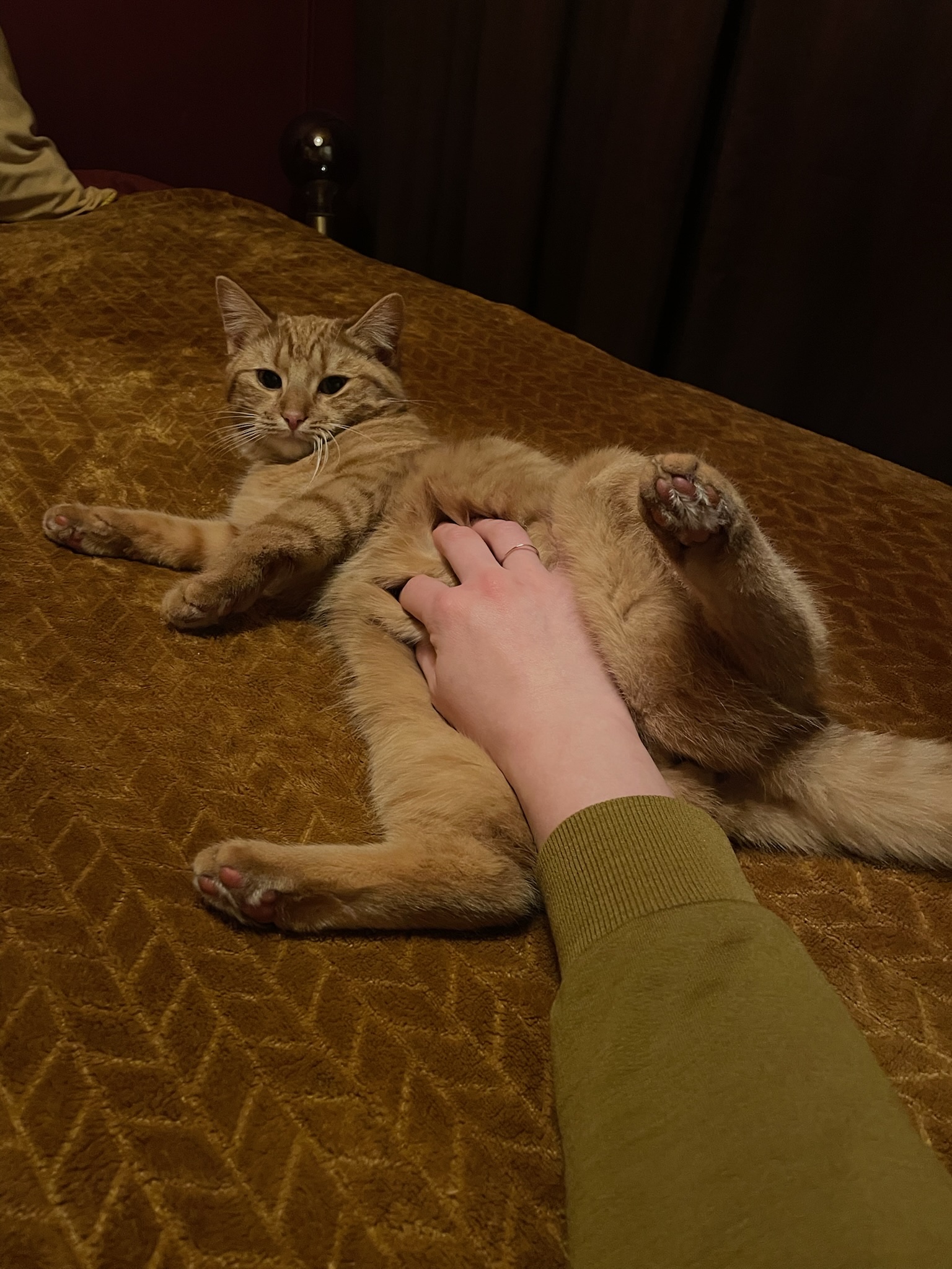 image-7