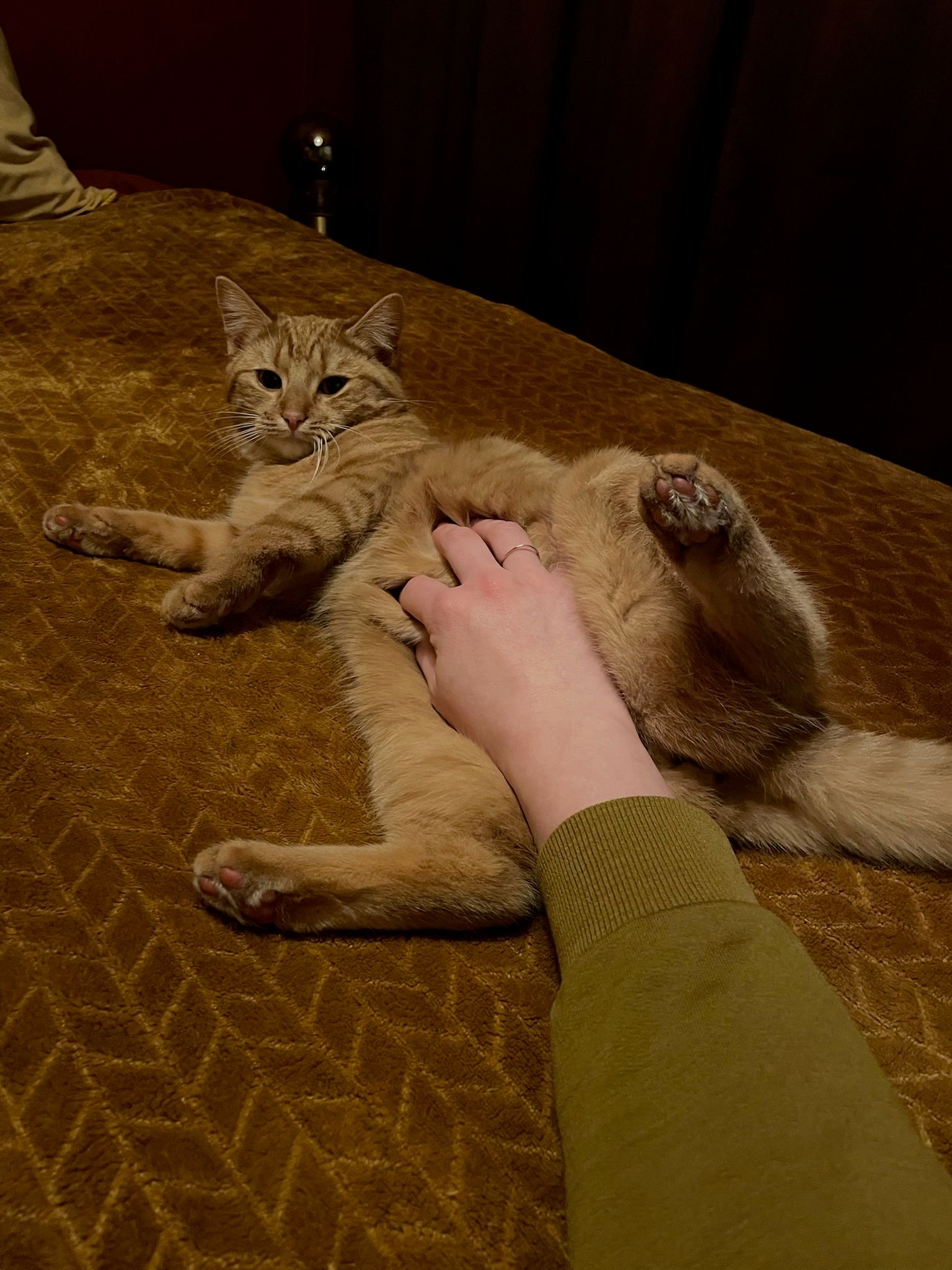 image-7