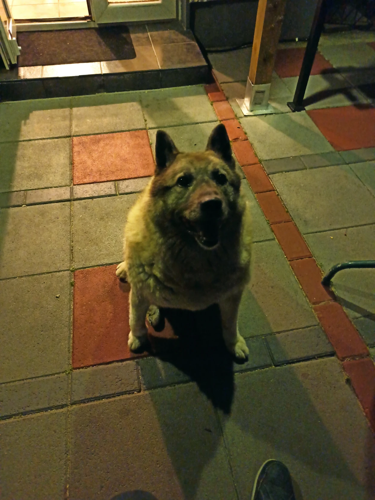 image-12