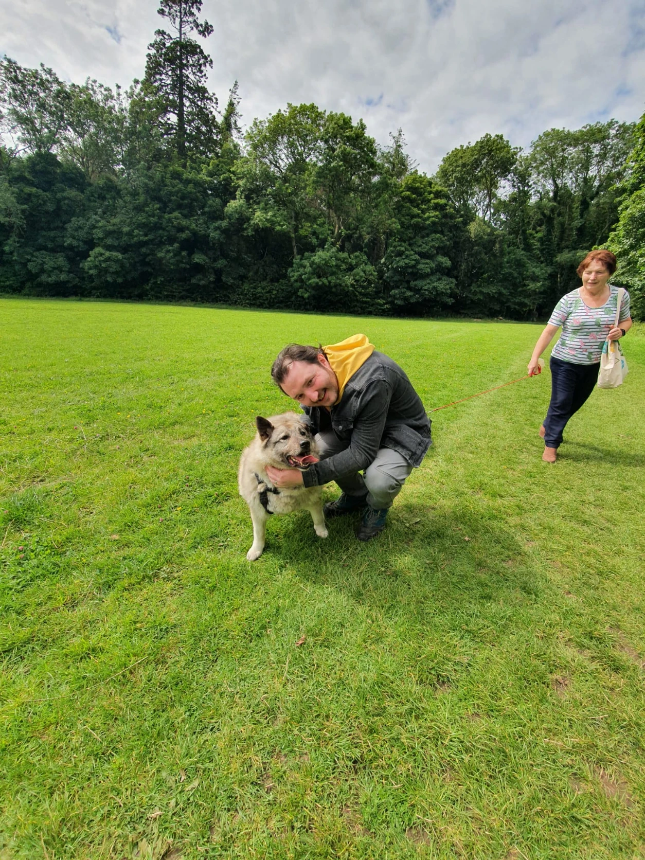 image-20