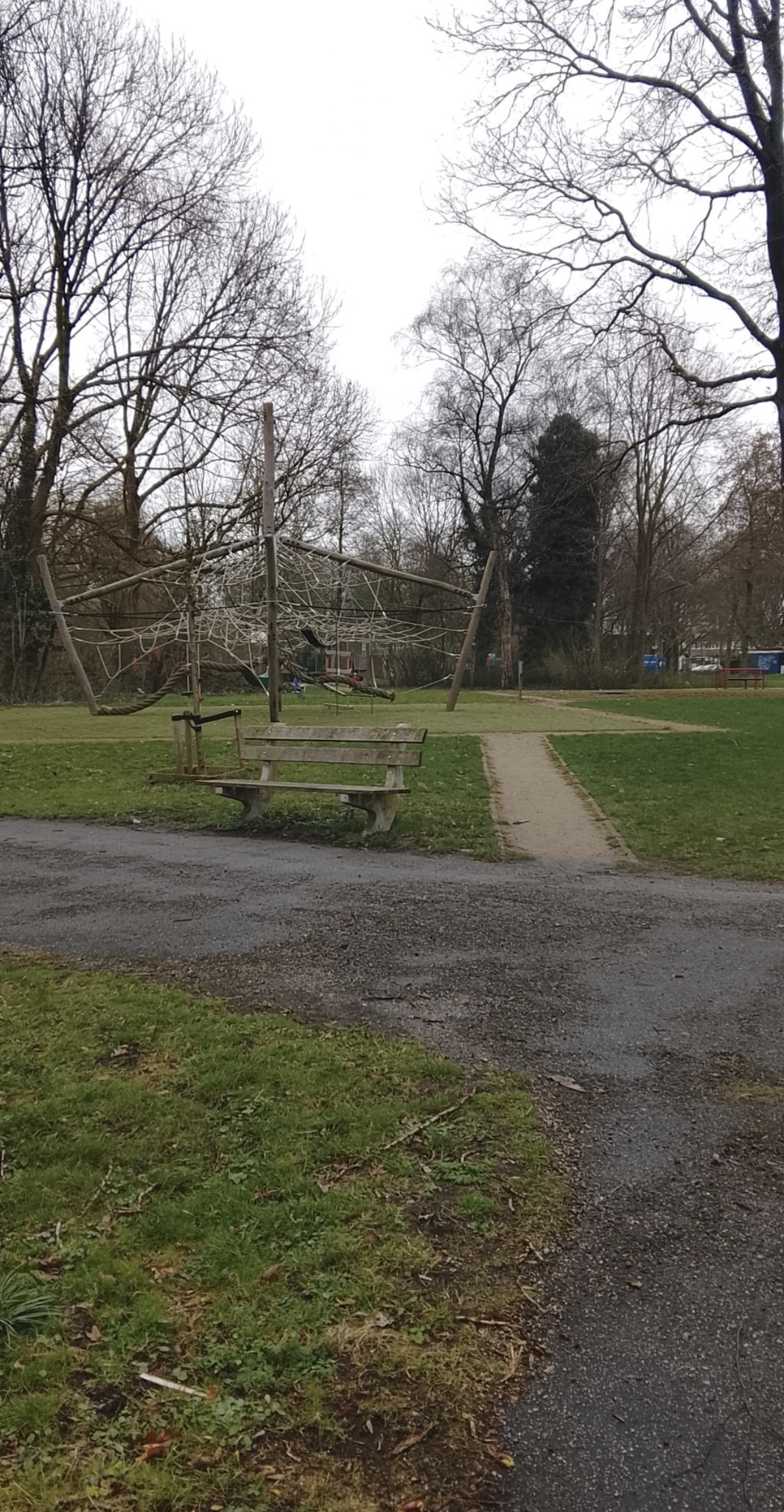 image-17