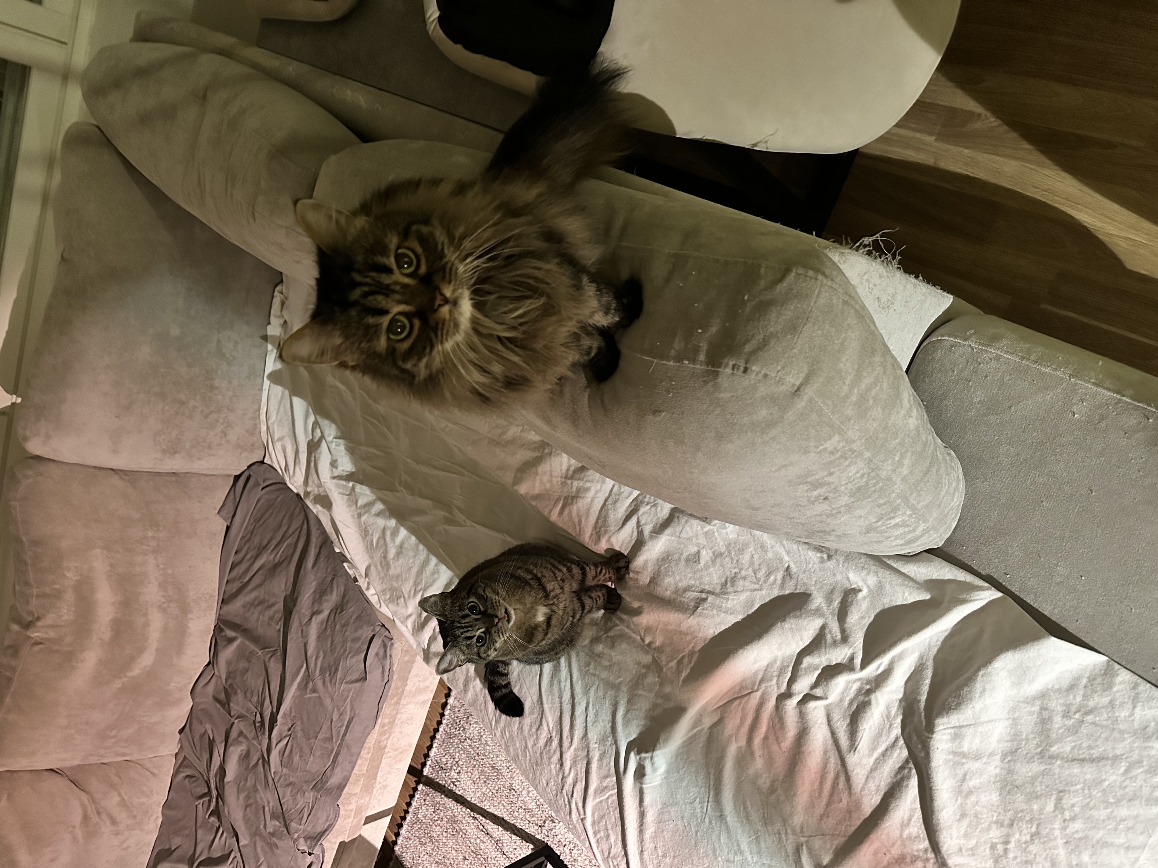 image-8