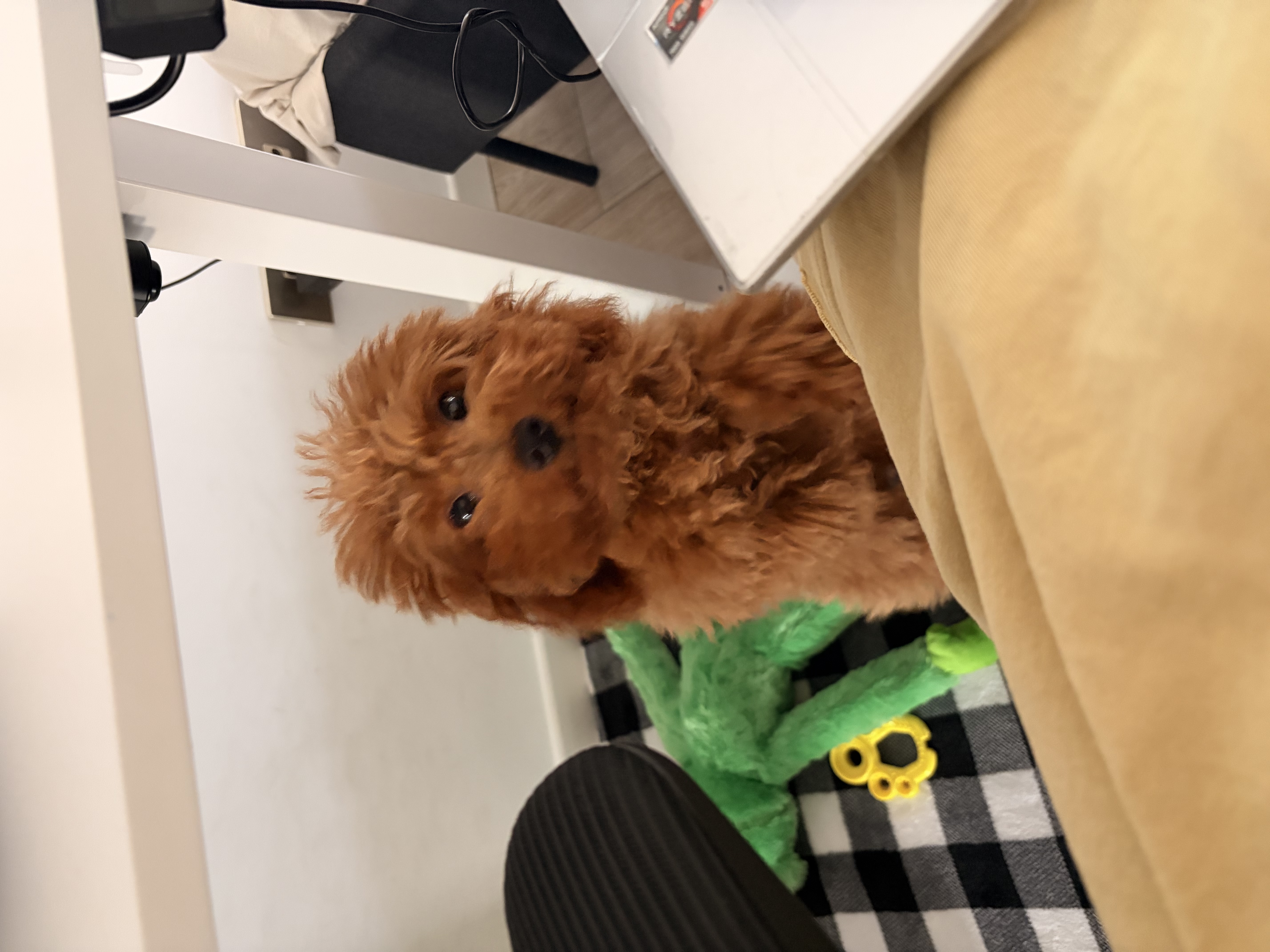 image-8